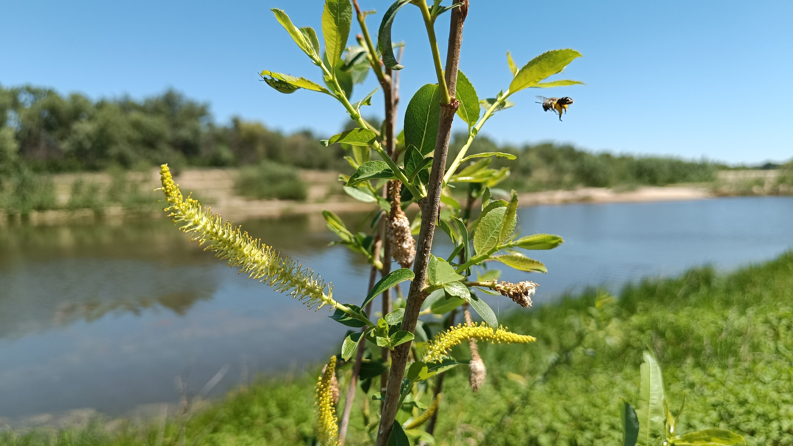 Читальный зал. Марина Рыбкина — Глубинная психология