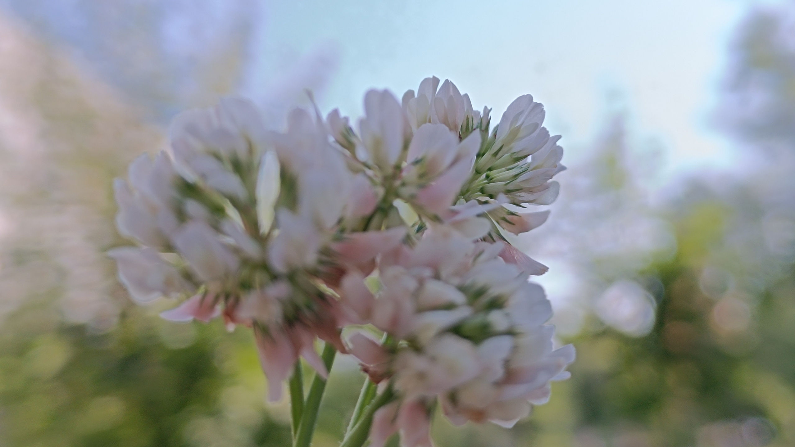 Сама жизнь — радость. Марина Рыбкина — Глубинная психология