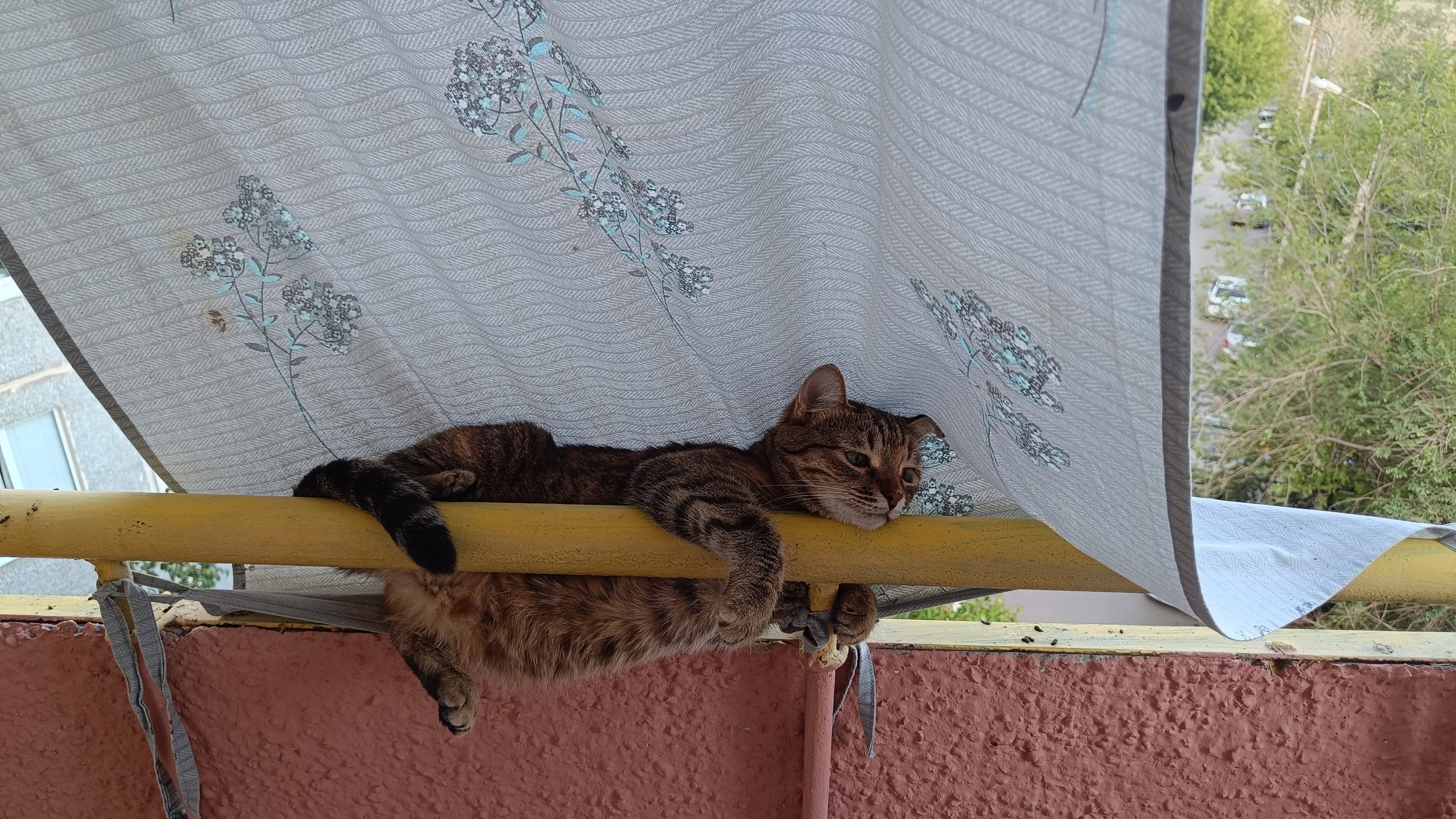 Юмор. Марина Рыбкина — Глубинная психология