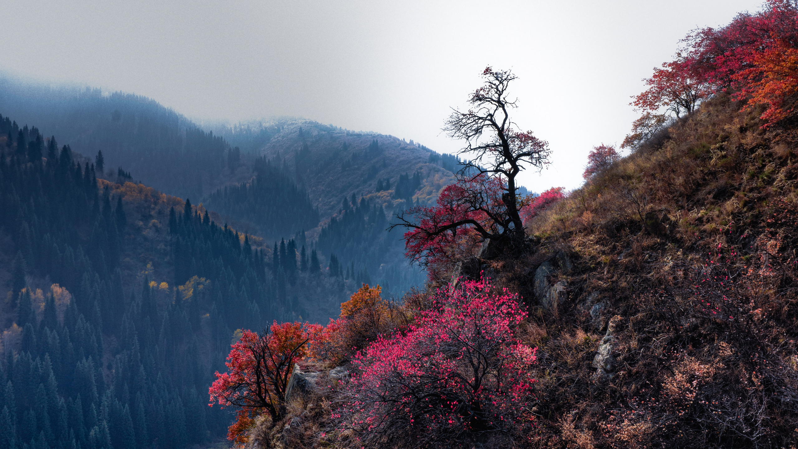 Дыхание высоты. VXN GALLERY