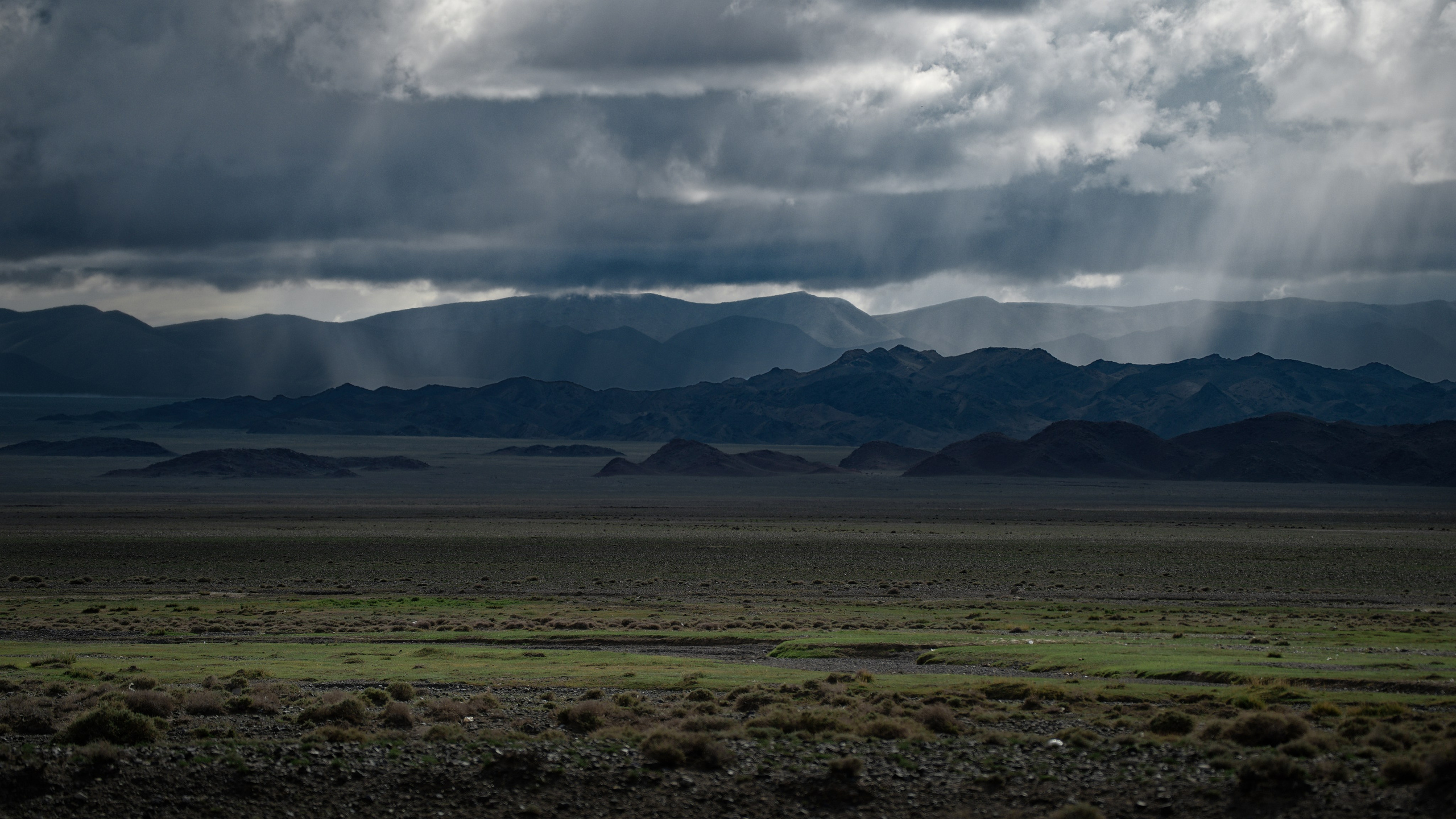 Экспедиция в Монголию (Гоби). Семоха Валерий. Фотограф