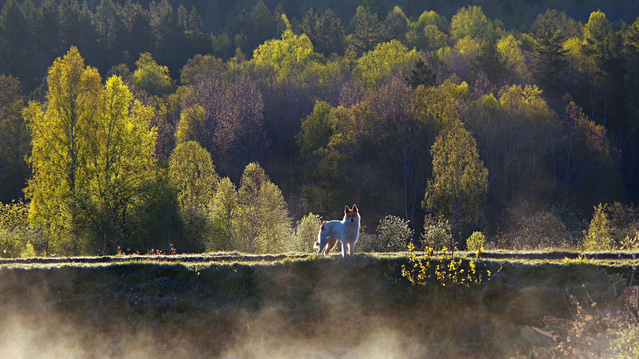 Лучшие фотографии 2024 года подписчиков канала Грустный Мордасов. Фотограф Михаил Мордасов, Сочи. Мероприятия, портреты, спорт, репортаж