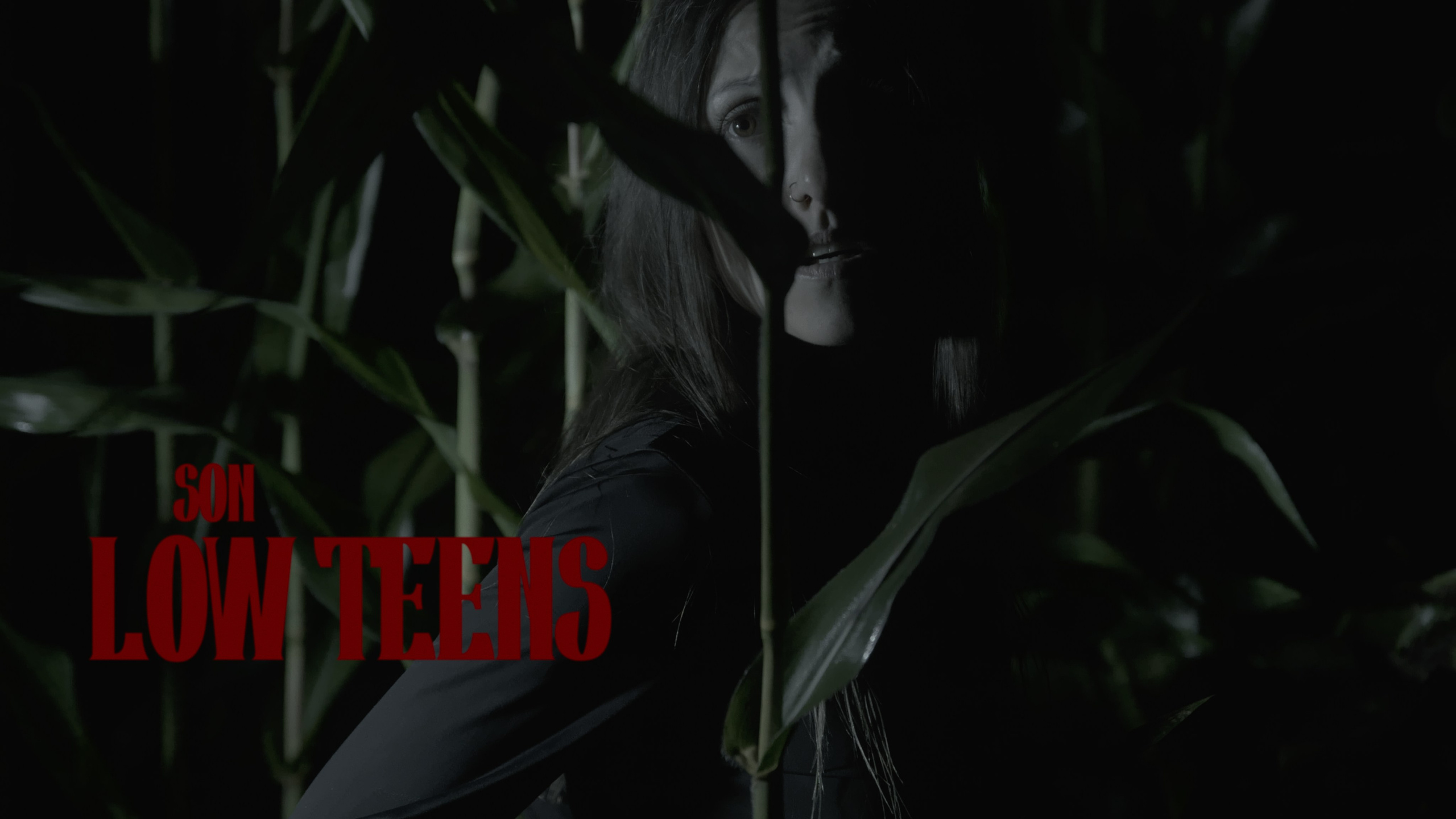 Свадебное видео в Иваново и России