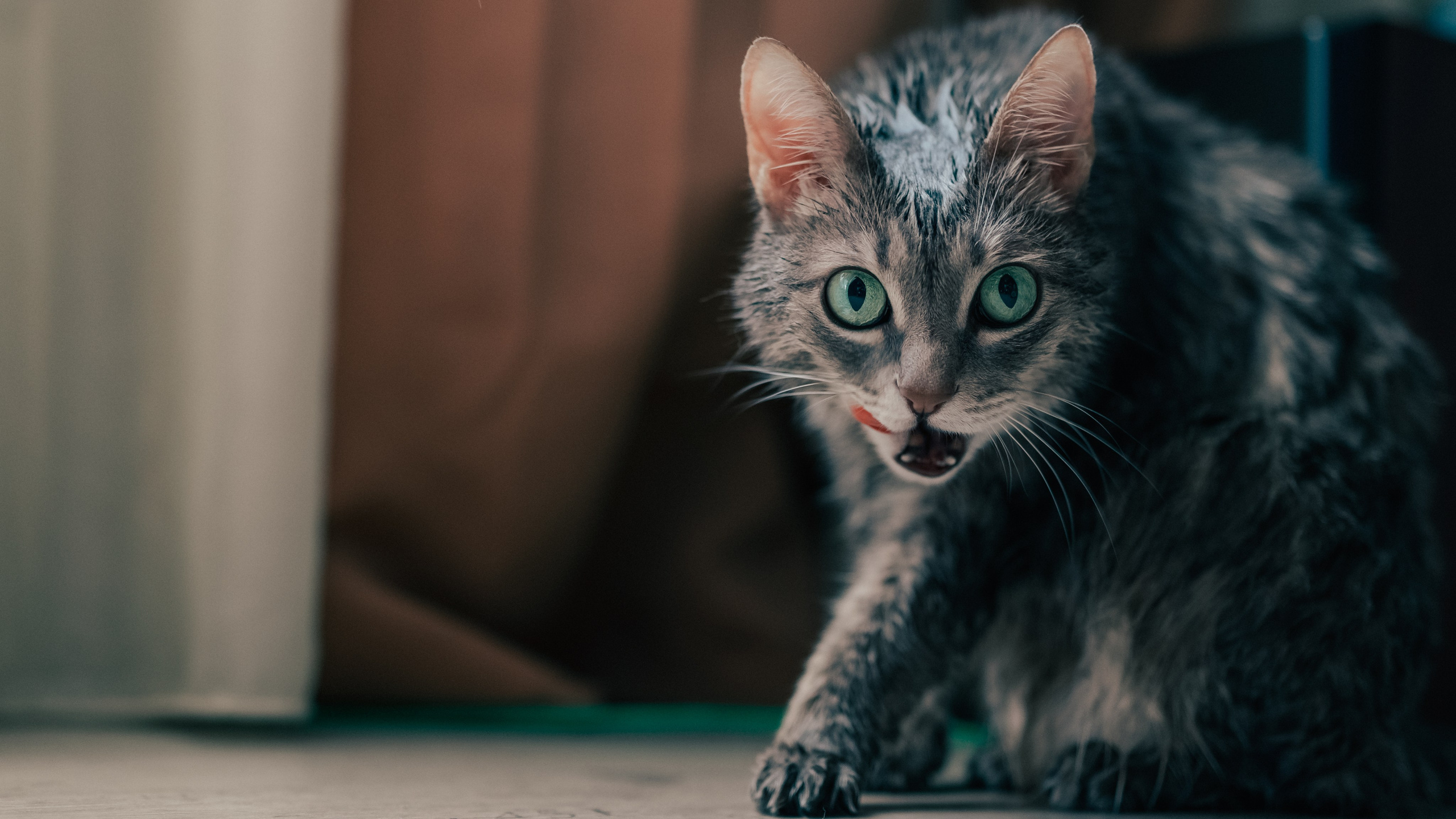 «Brand stories» — формат фотосессии для брендов. Визуальные истории из Санкт-Петербурга