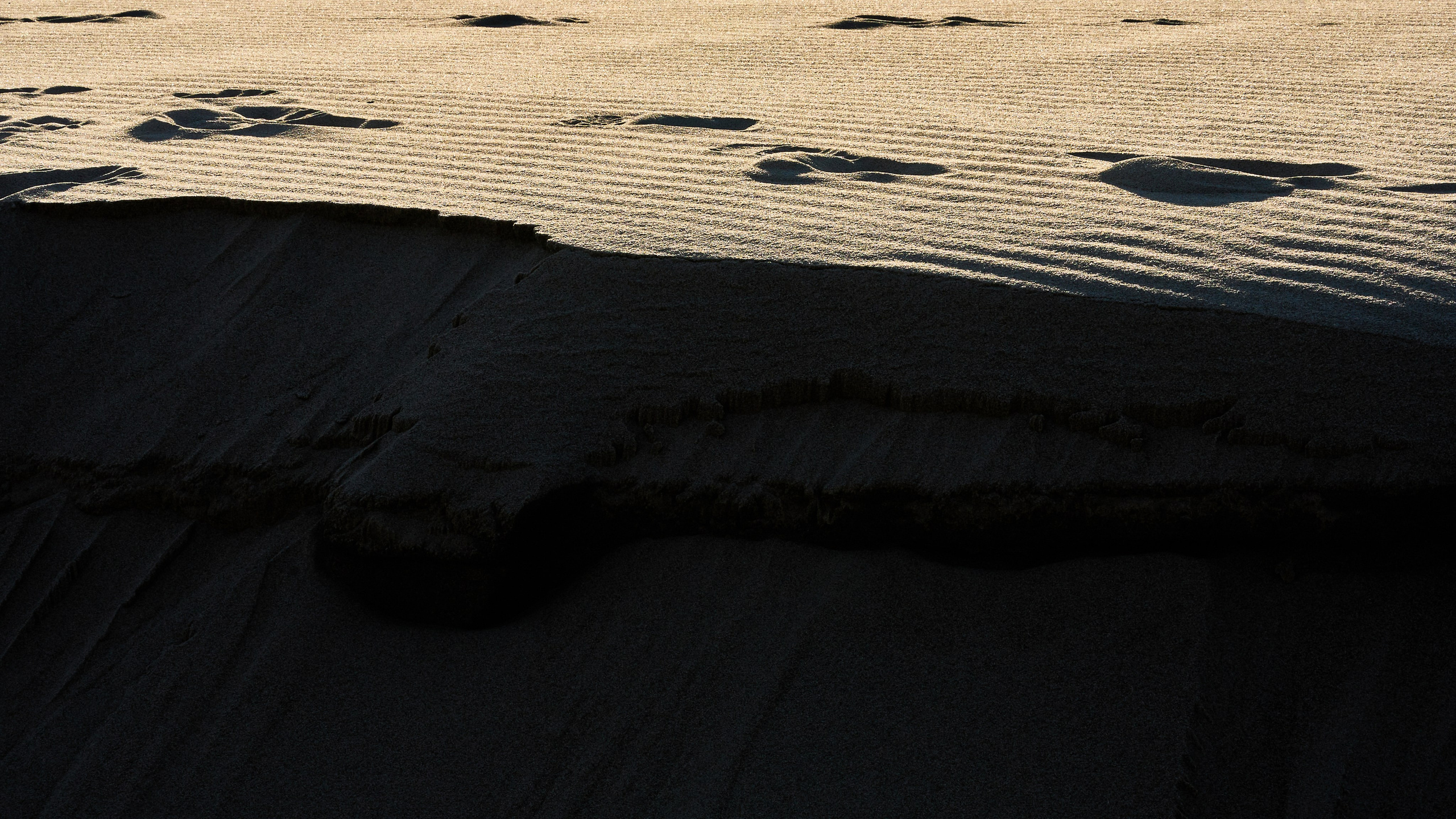 Янтарный. Фотограф в Москве Анастасия Баева