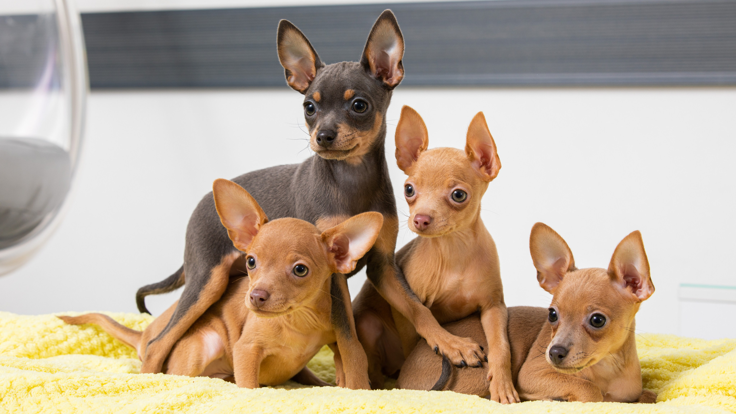 Услуги. Главная