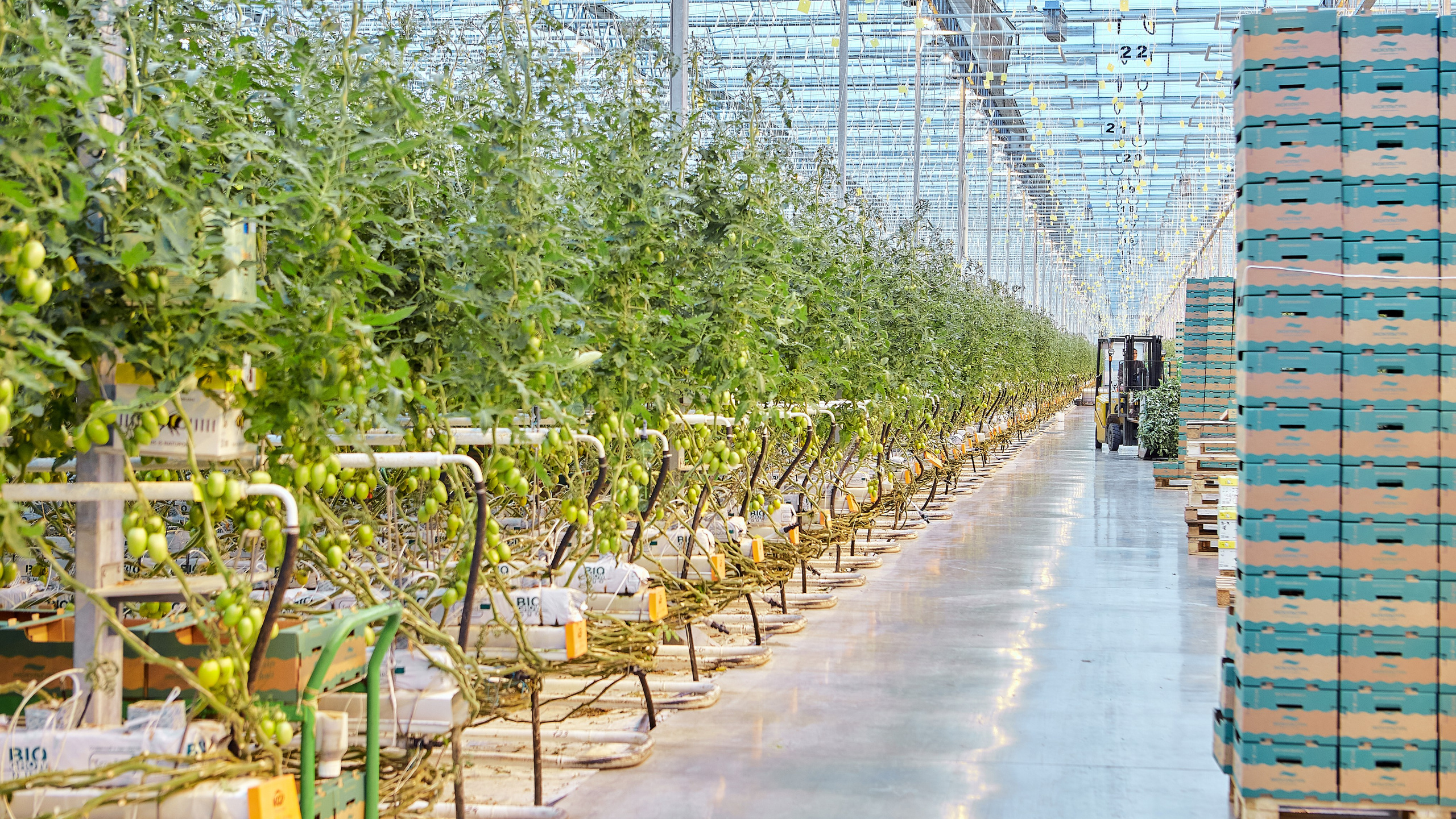 Эко-Культура