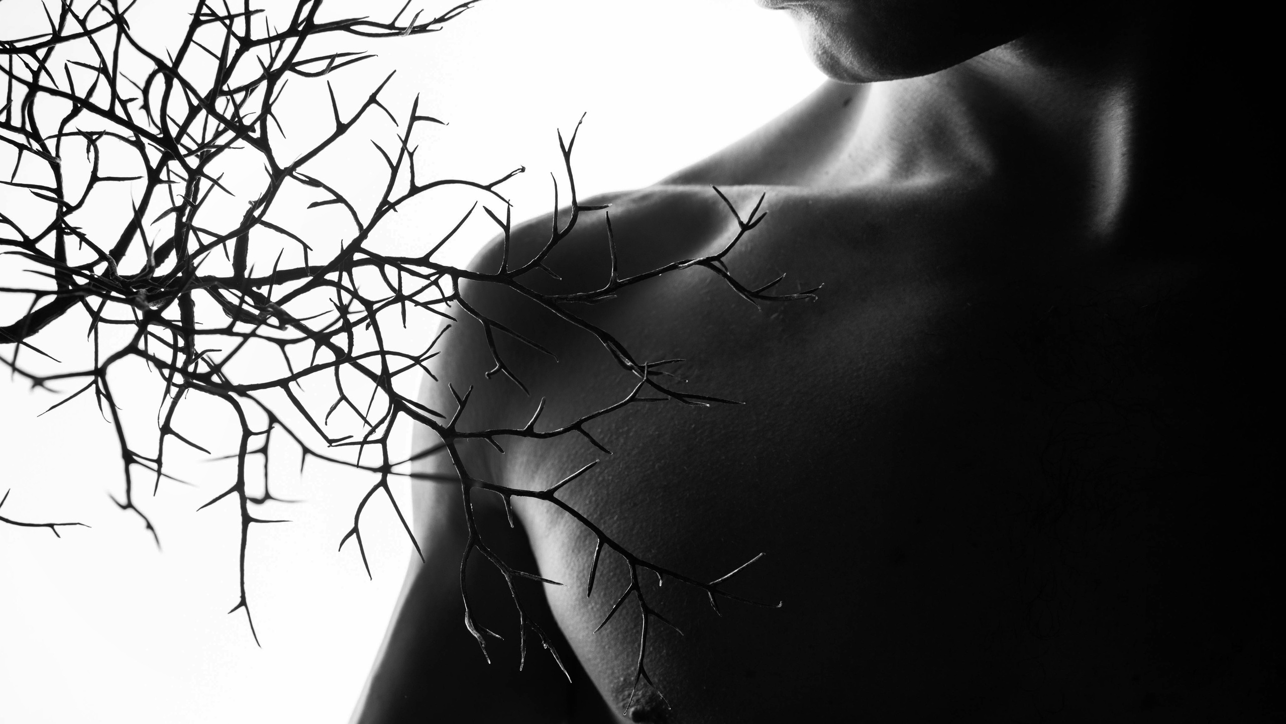 Прайс. Свадебный фотограф в Москве Виктория Арехова