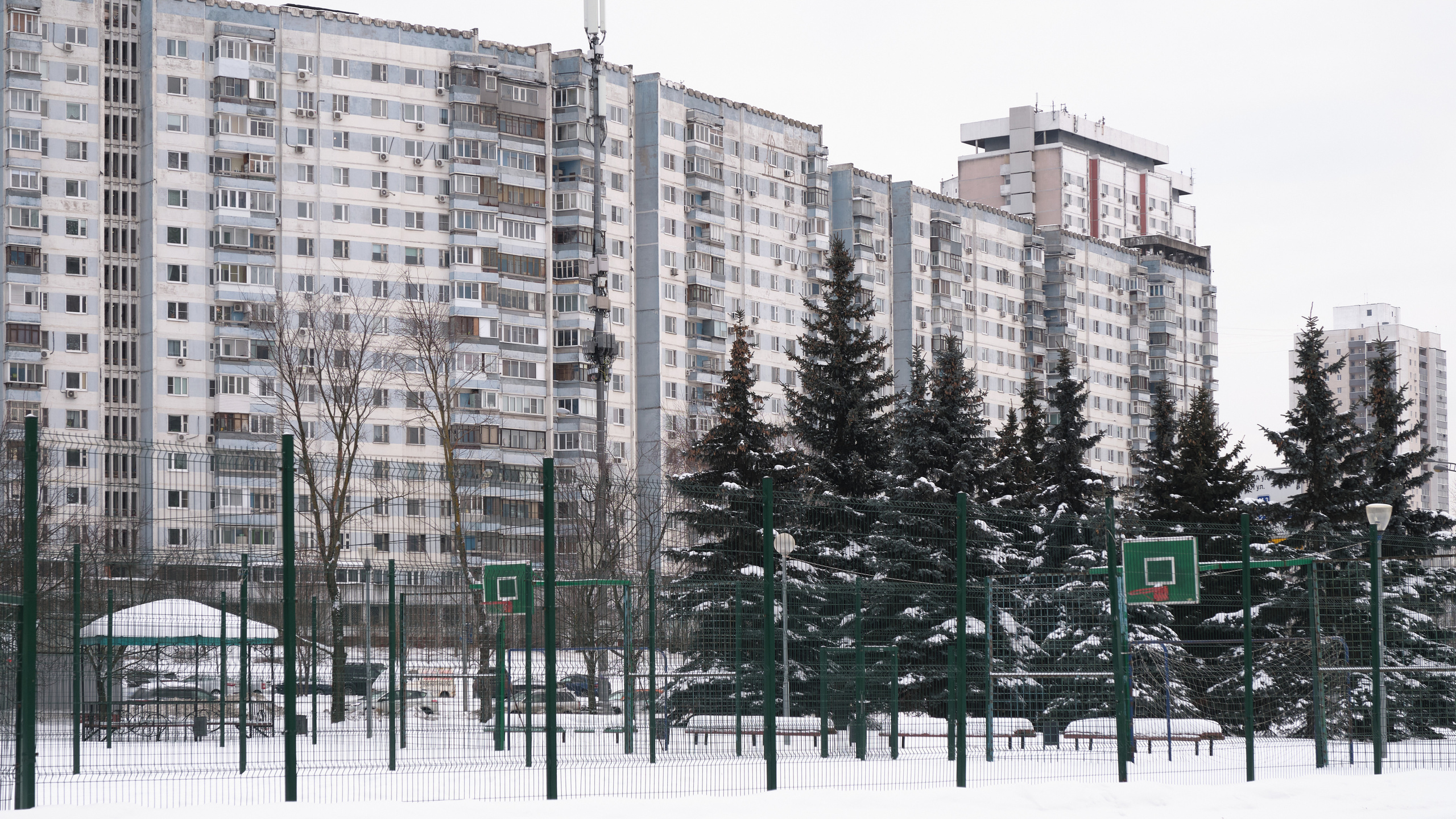 Contact. Igor Skabelin