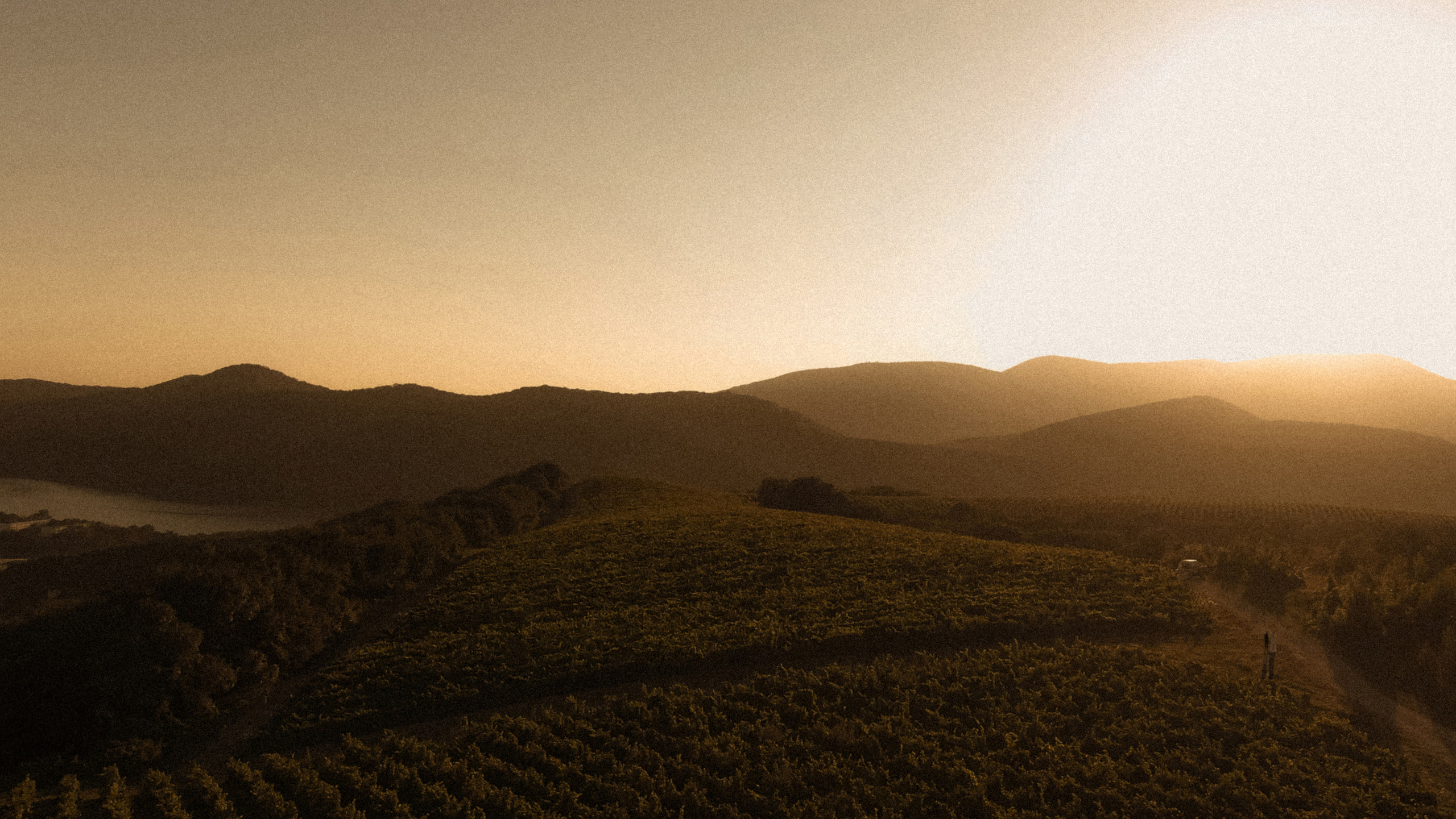 Услуги. Никита Погосов