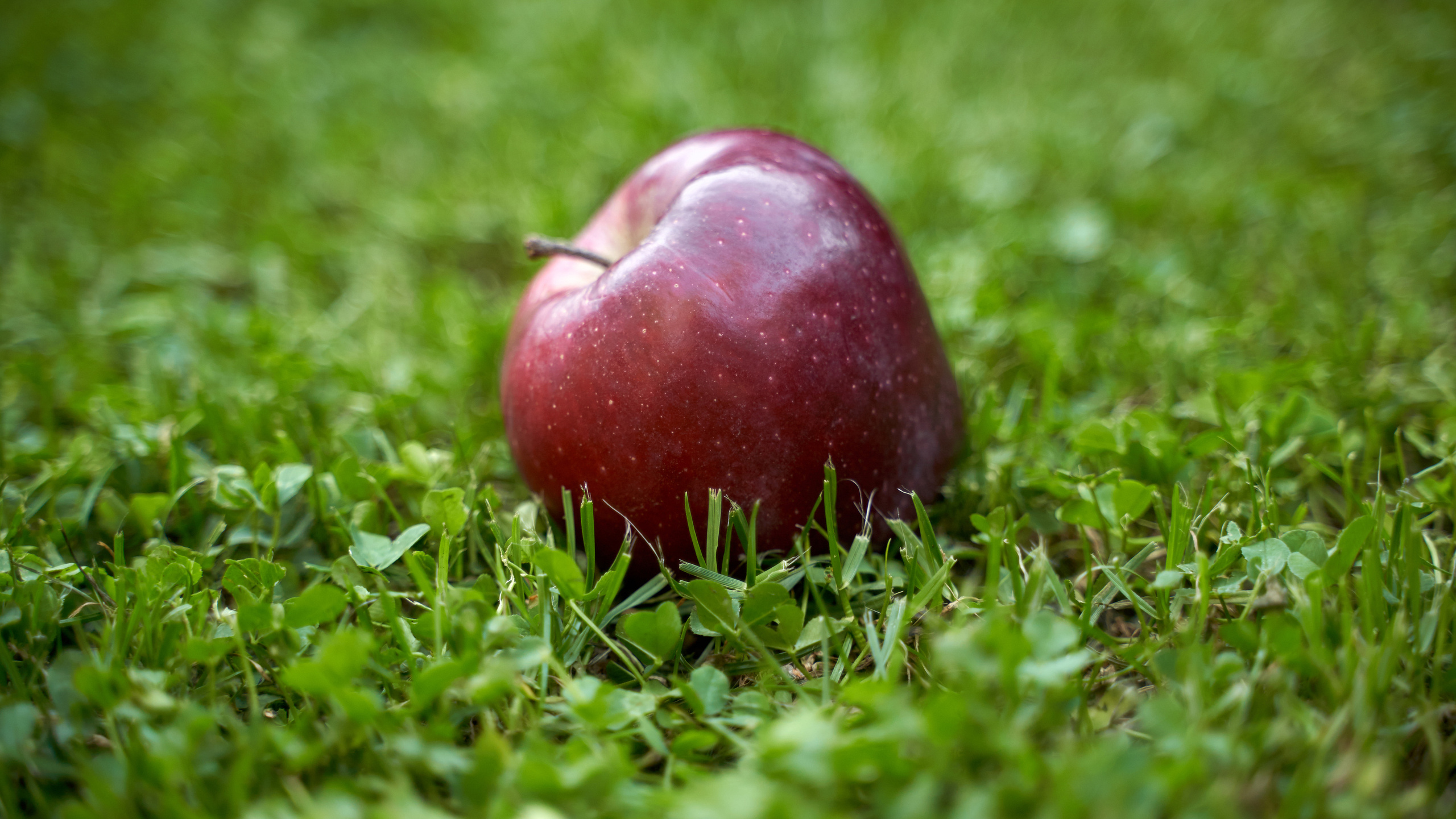 Информация