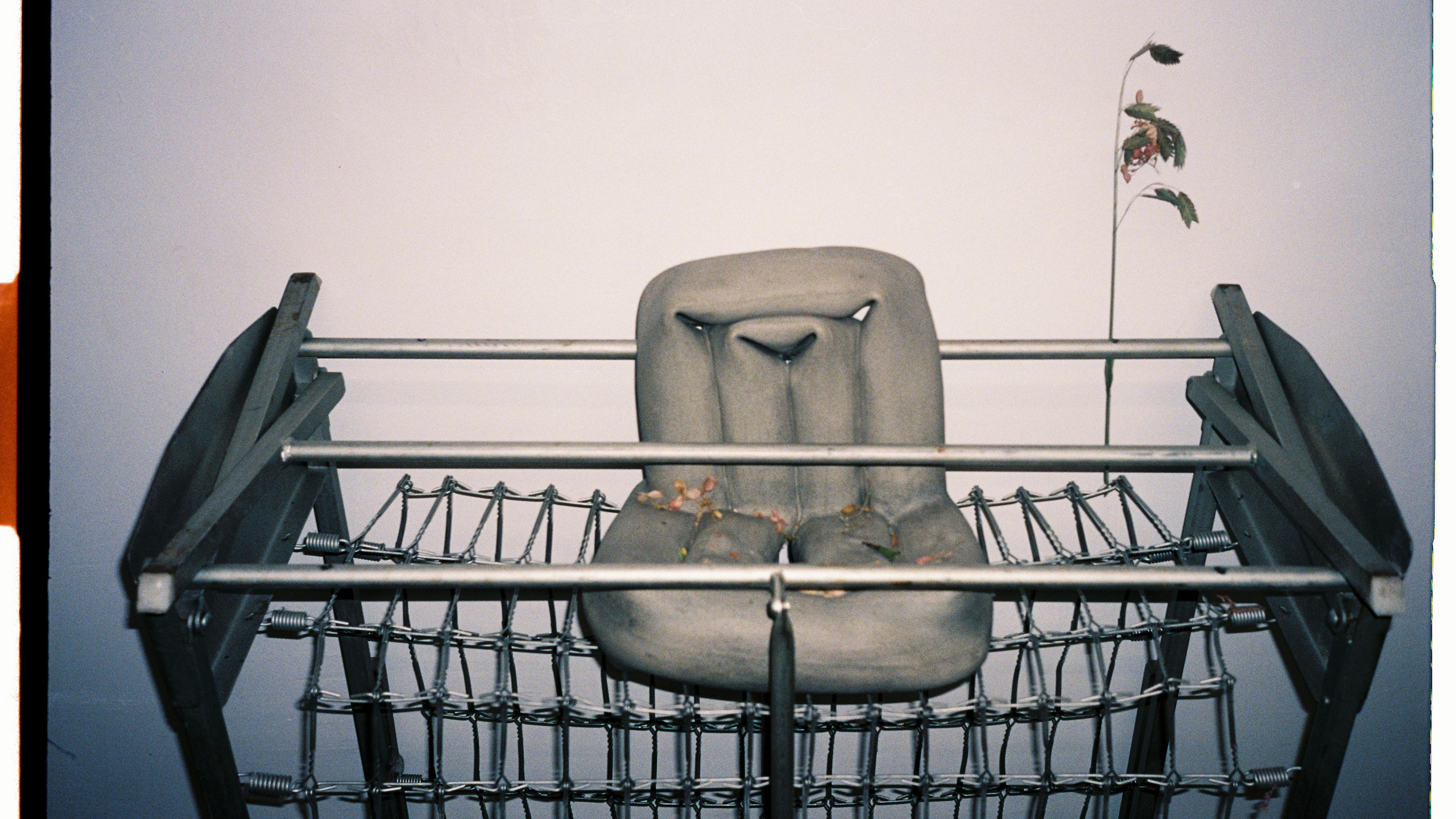 Exhibitions. Ksusha Fedya artist