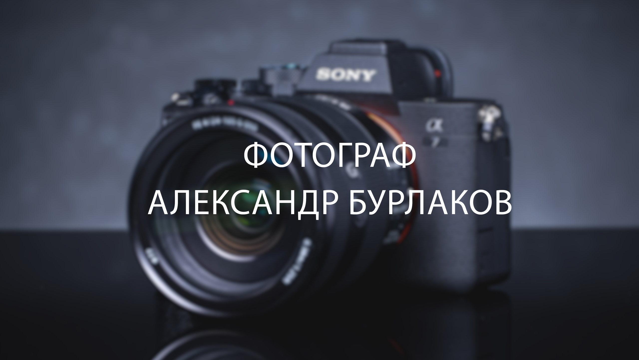 Фотограф в Брянске / Александр Бурлаков