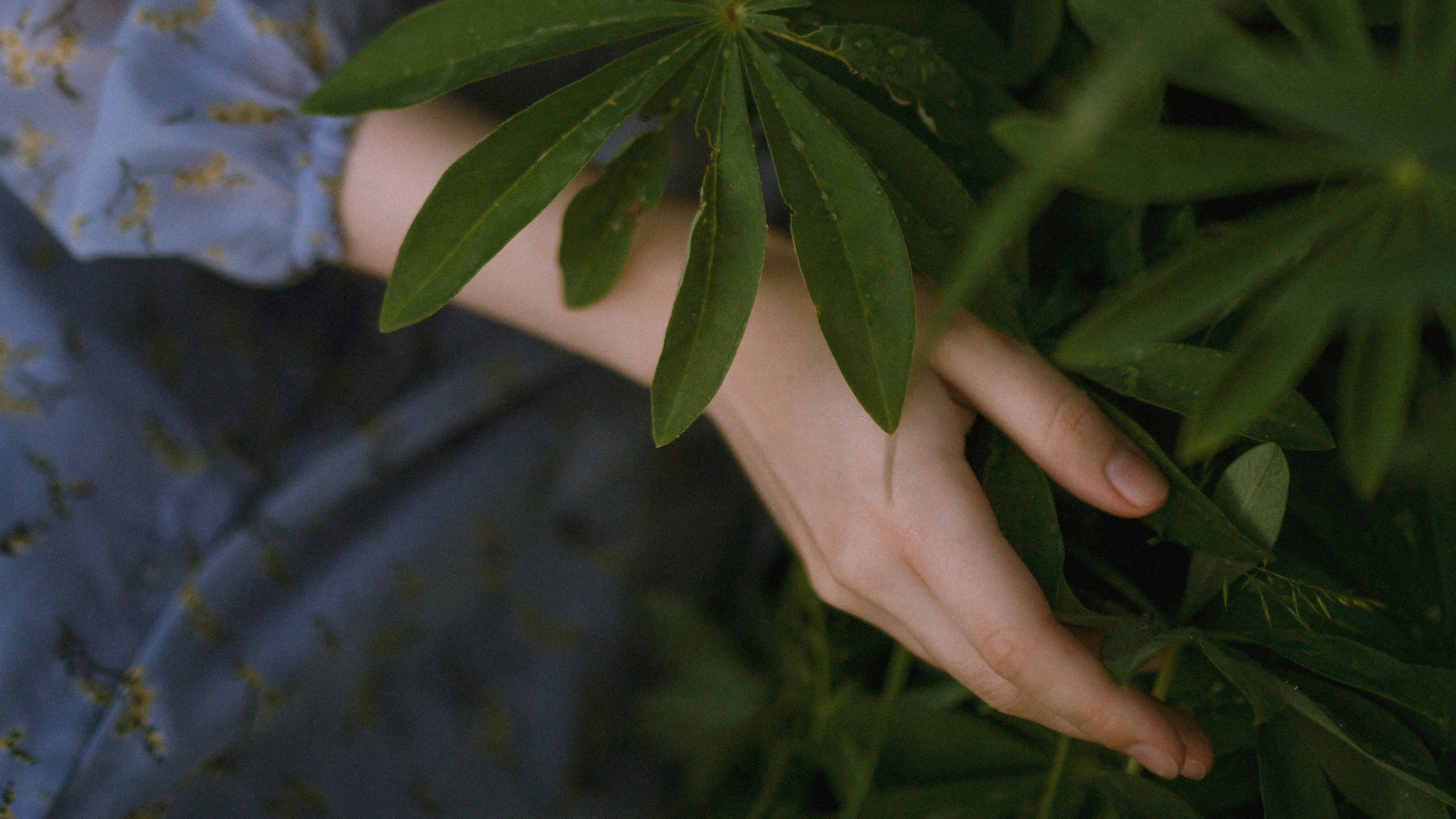 Услуги. Портретный фотограф в Москве Ефанова Ульяна. Женский портрет