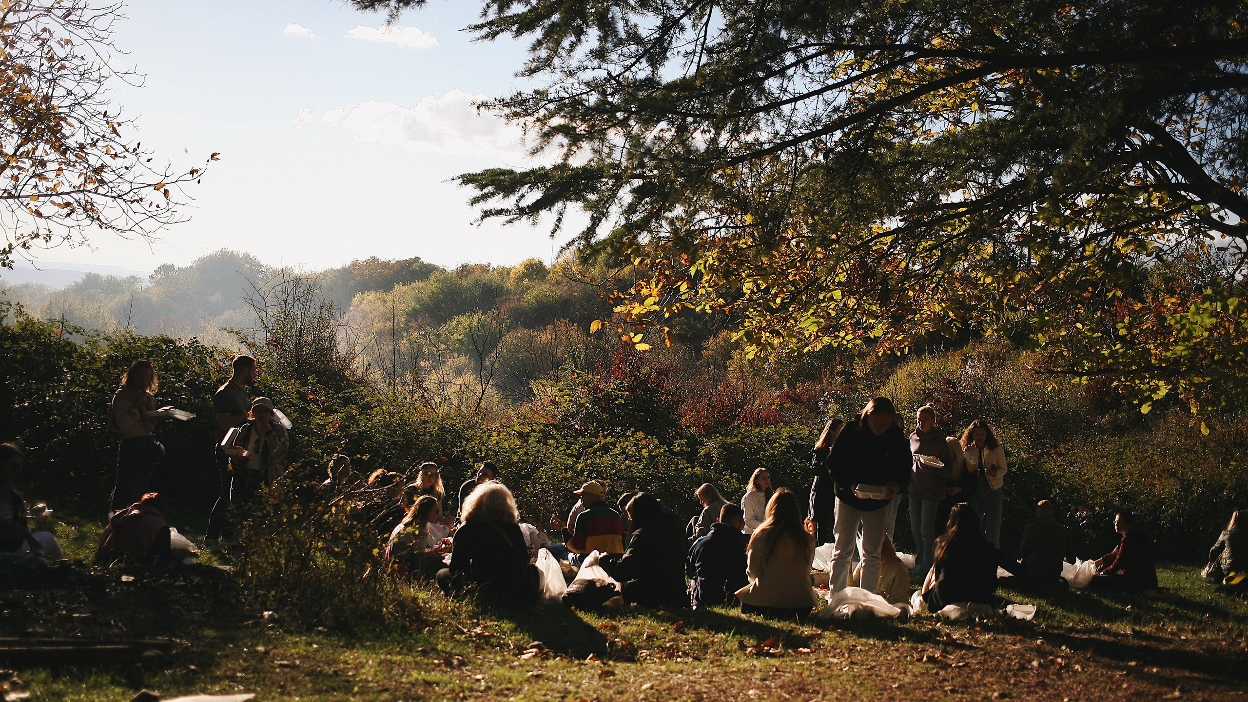 Прайс. Фотограф Екатерина Максимова: семейные, индивидуальные съемки, свадьбы