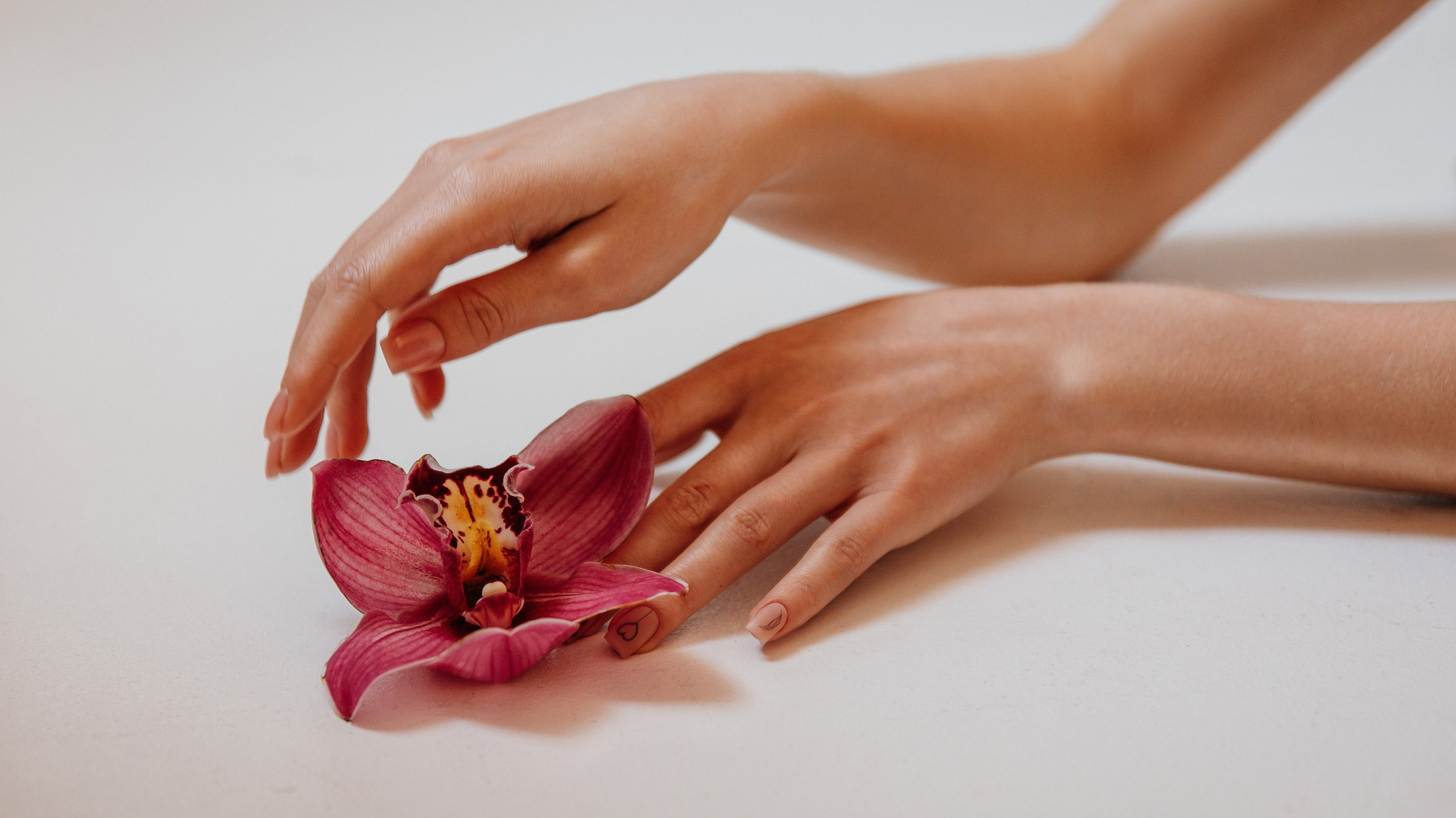 Услуги. Алла Пластинина — Фотограф Ижевск