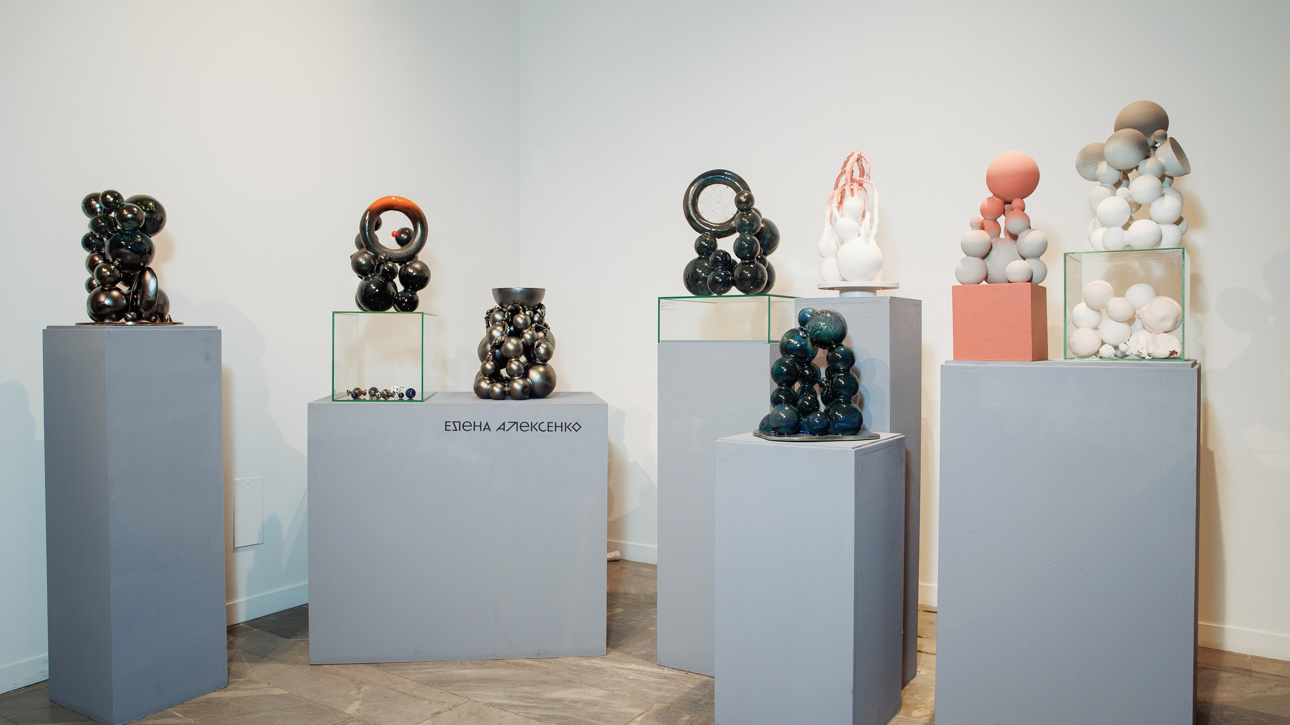 Biography. Elena Aleksenko, ceramic artist. @iguana-ae ceramic