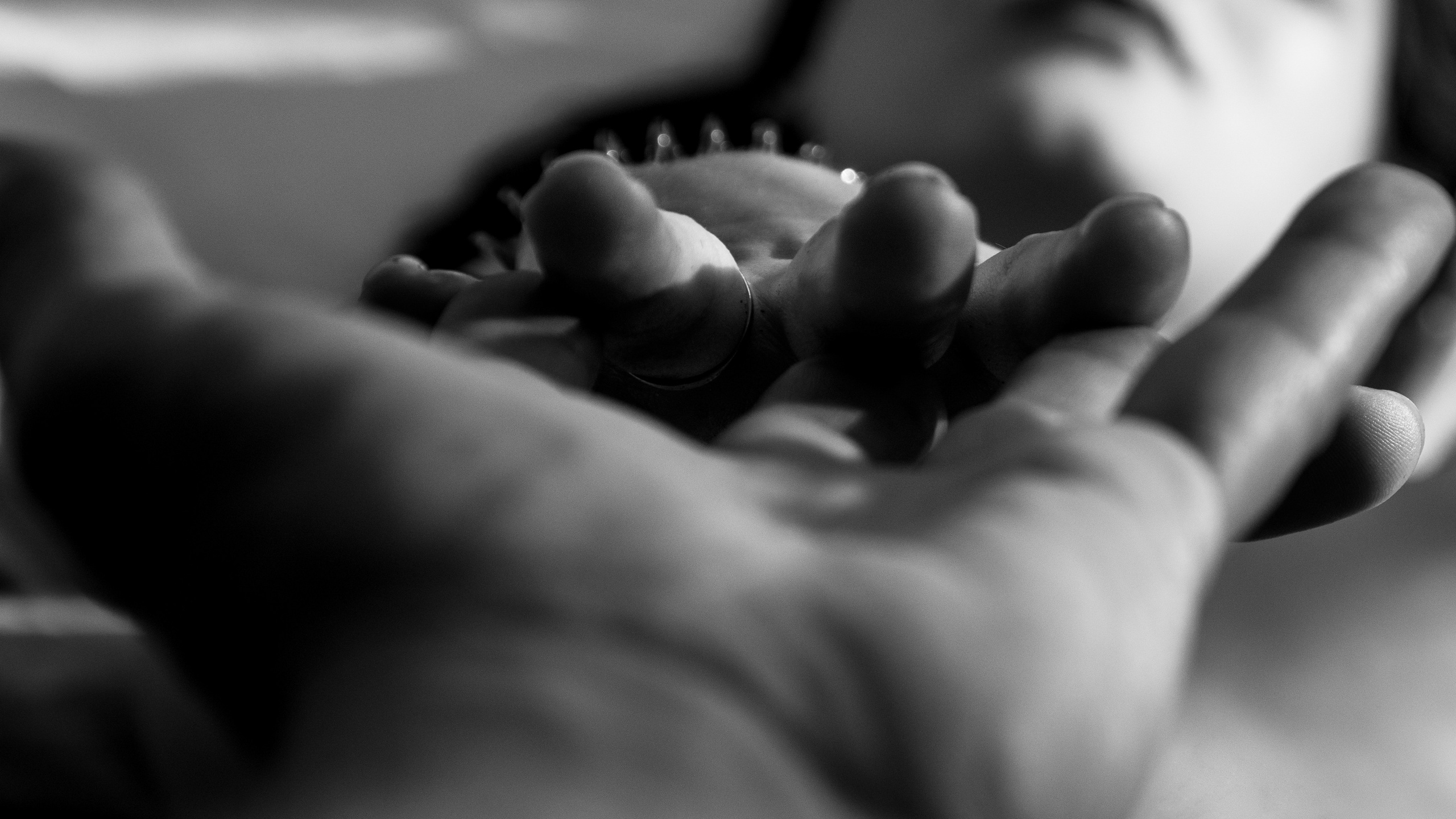 Фотопроект «Двоё». Sandra Marselly | Абстрактная Макро-Фотография