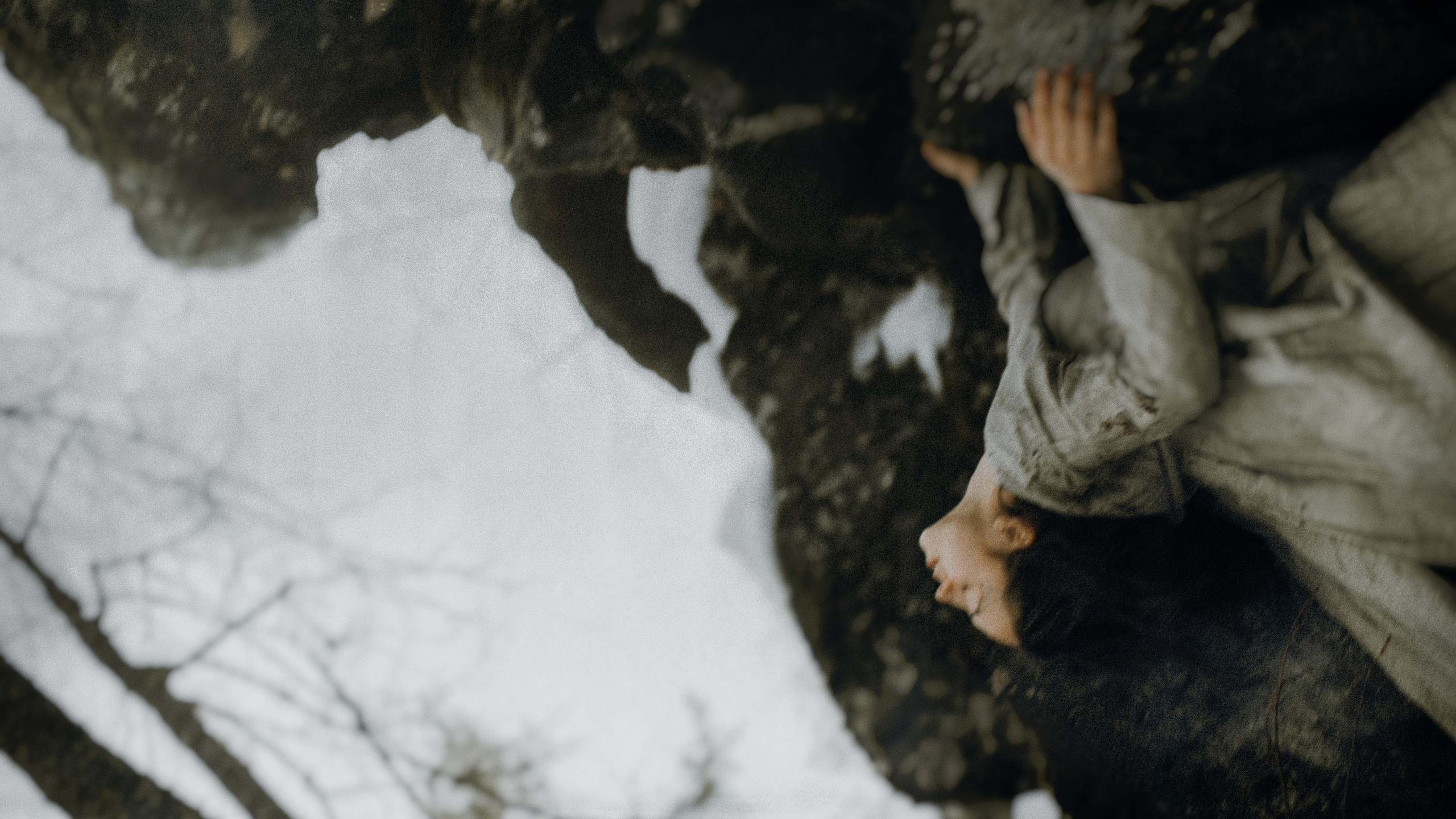 BIRD OF SPIRIT. HOME