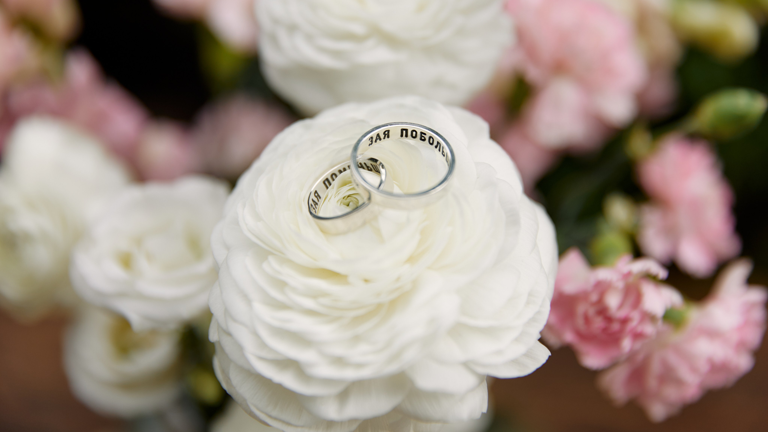 Прайс. Фотограф и преподаватель по фотографии в Воронеже Олеся Микерова