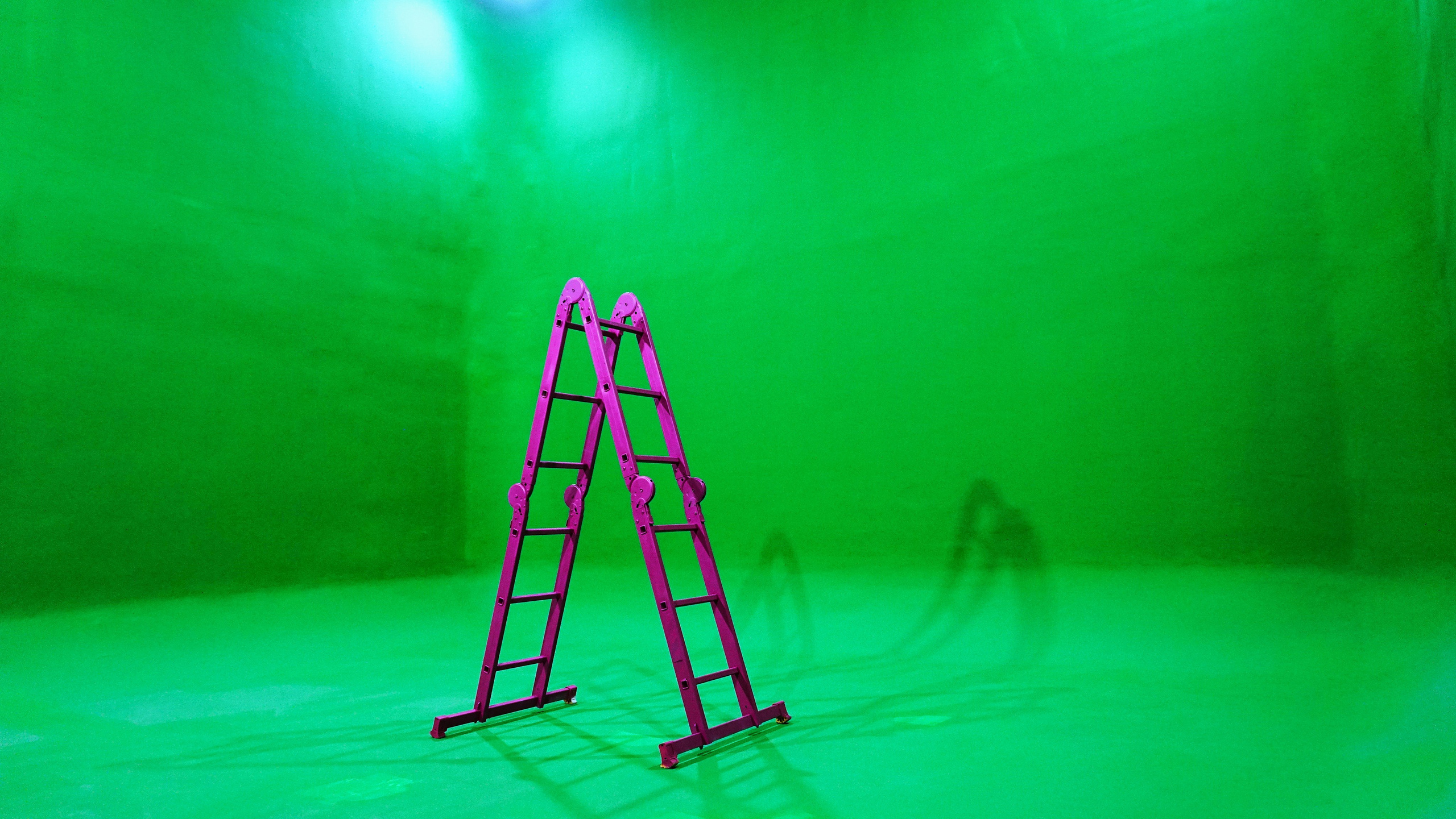 Циклорама Псарня