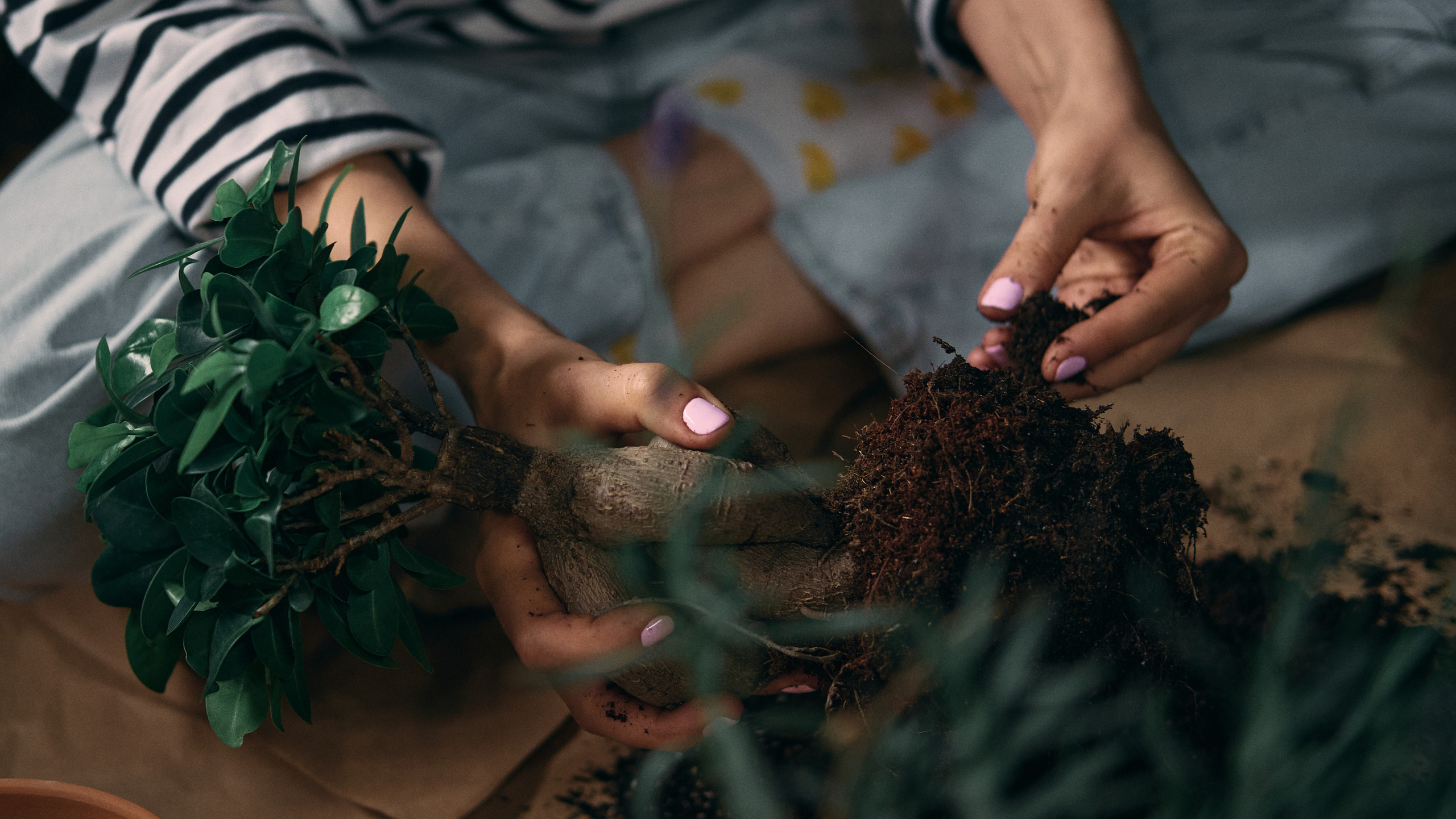 Интервью с Марией Солоповой — Plants NSK. Артём Кузнецов, фотограф, Новосибирск