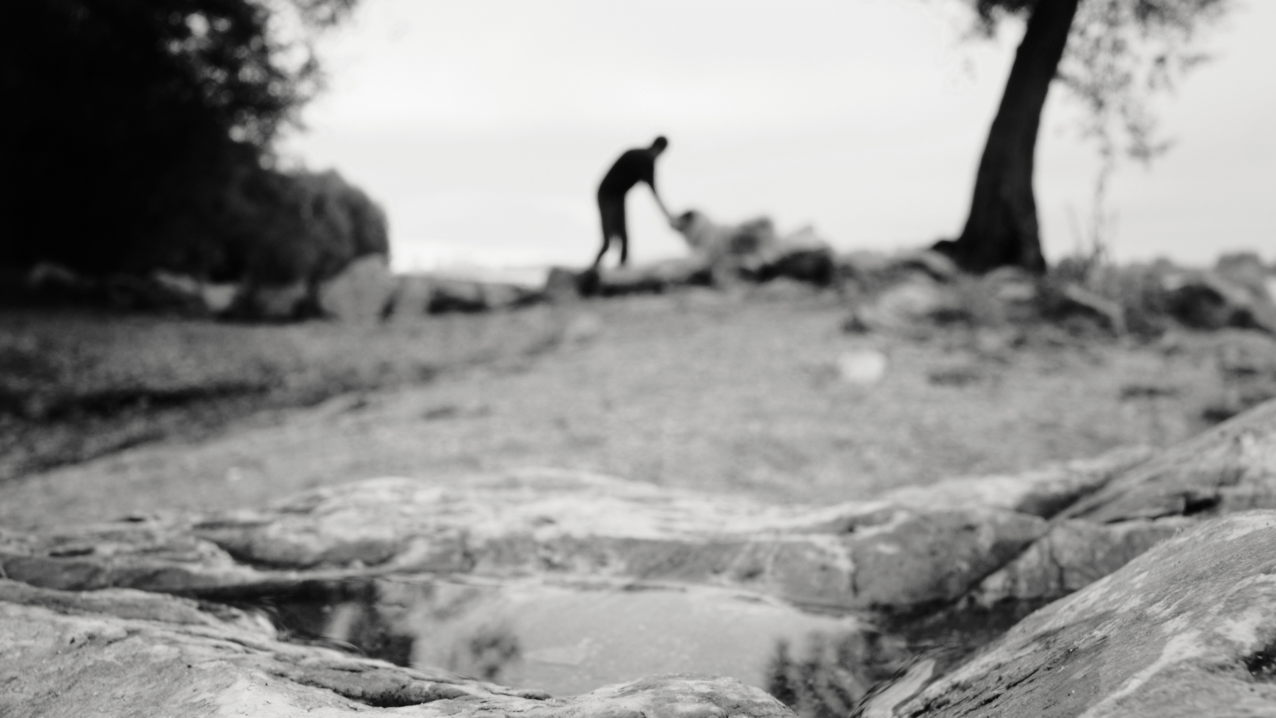 Интервью с чайным мастером Савелием Сорокиным — Белая панда. Семейный фотограф в Новосибирске Артём Кузнецов