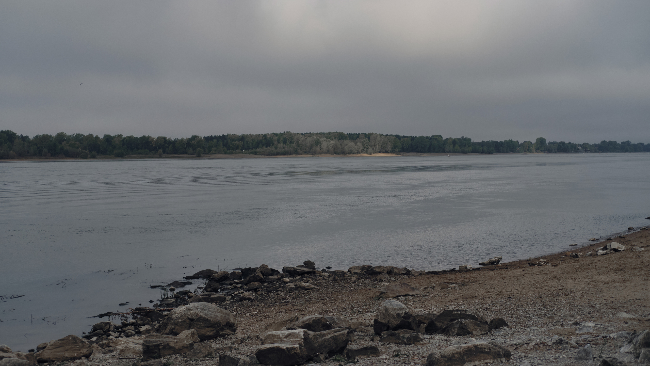 Интервью с чайным мастером Савелием Сорокиным — Белая панда. Семейный фотограф в Новосибирске Артём Кузнецов