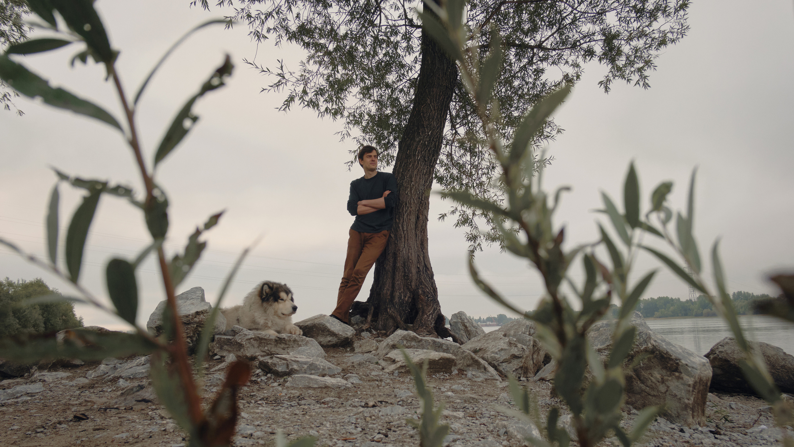 Интервью с чайным мастером Савелием Сорокиным — Белая панда. Семейный фотограф в Новосибирске Артём Кузнецов
