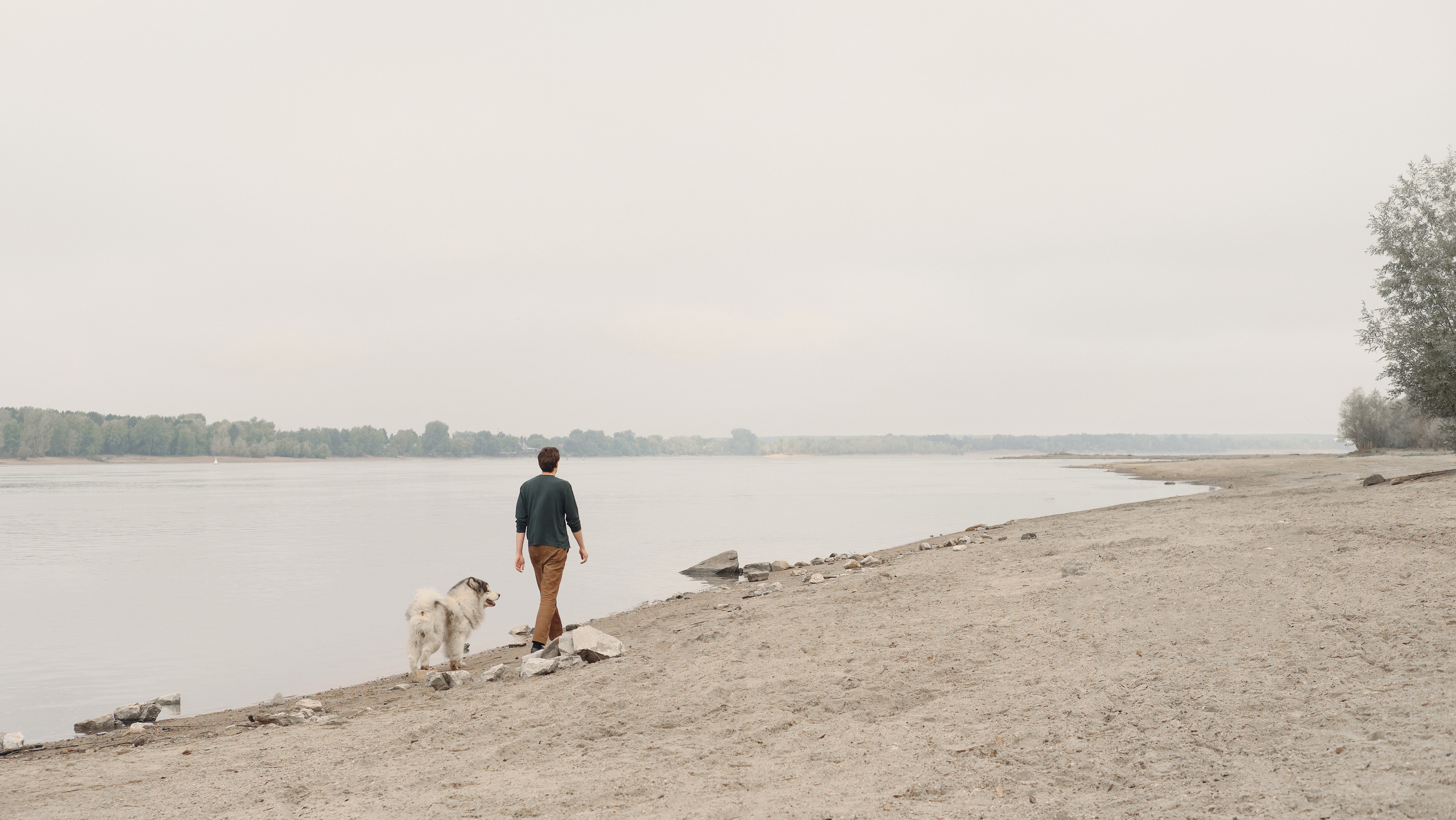 Интервью с чайным мастером Савелием Сорокиным — Белая панда. Семейный фотограф в Новосибирске Артём Кузнецов