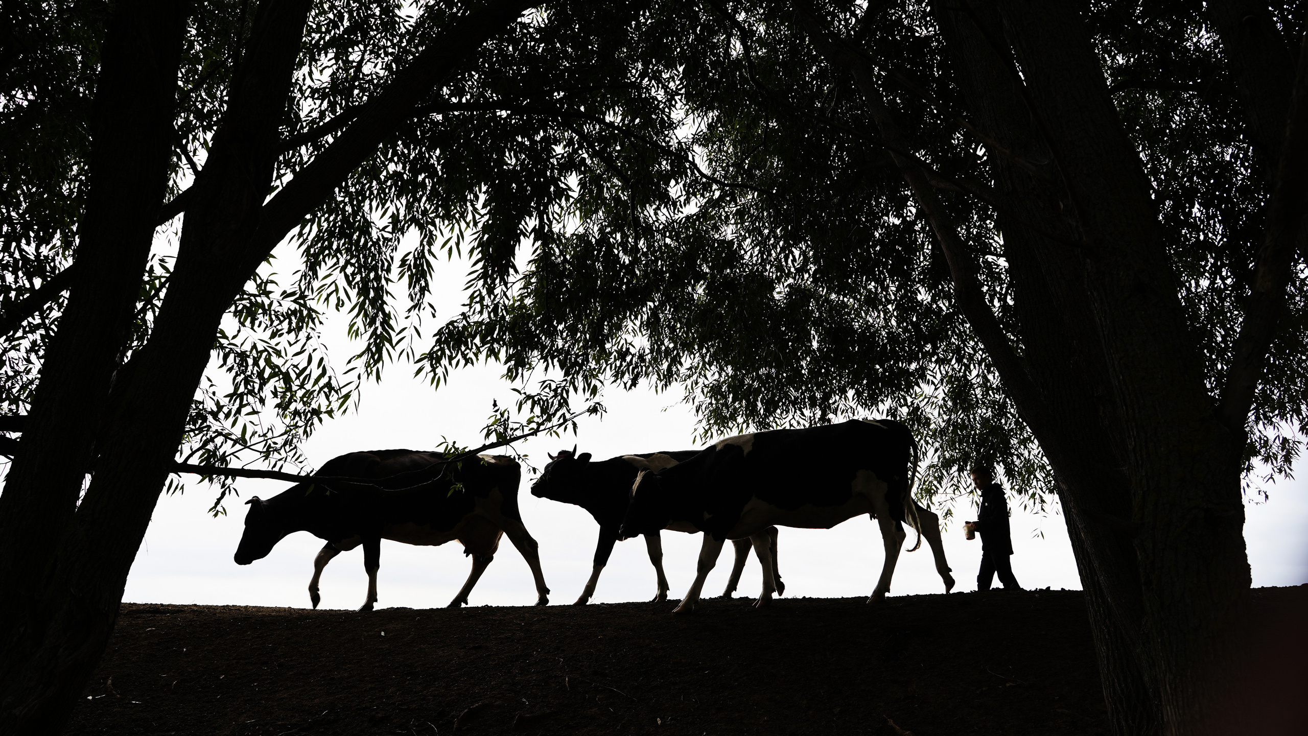 Россиянка. Хороший репортажный и промышленный фотограф в Казани Алексей Щелконогов