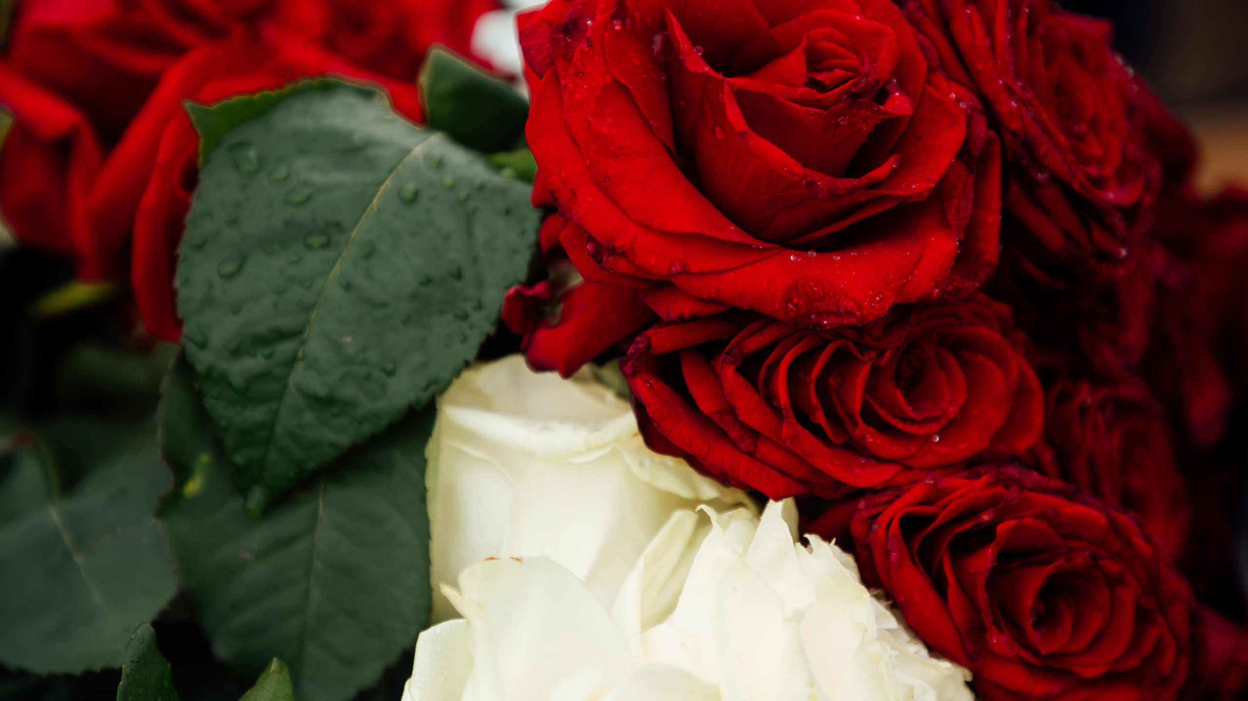 СЪЕМКА ТРАУРНОГО МЕРОПРИЯТИЯ. Свадебный и семейный фотограф/видеограф в Краснодаре Наталья Осинская