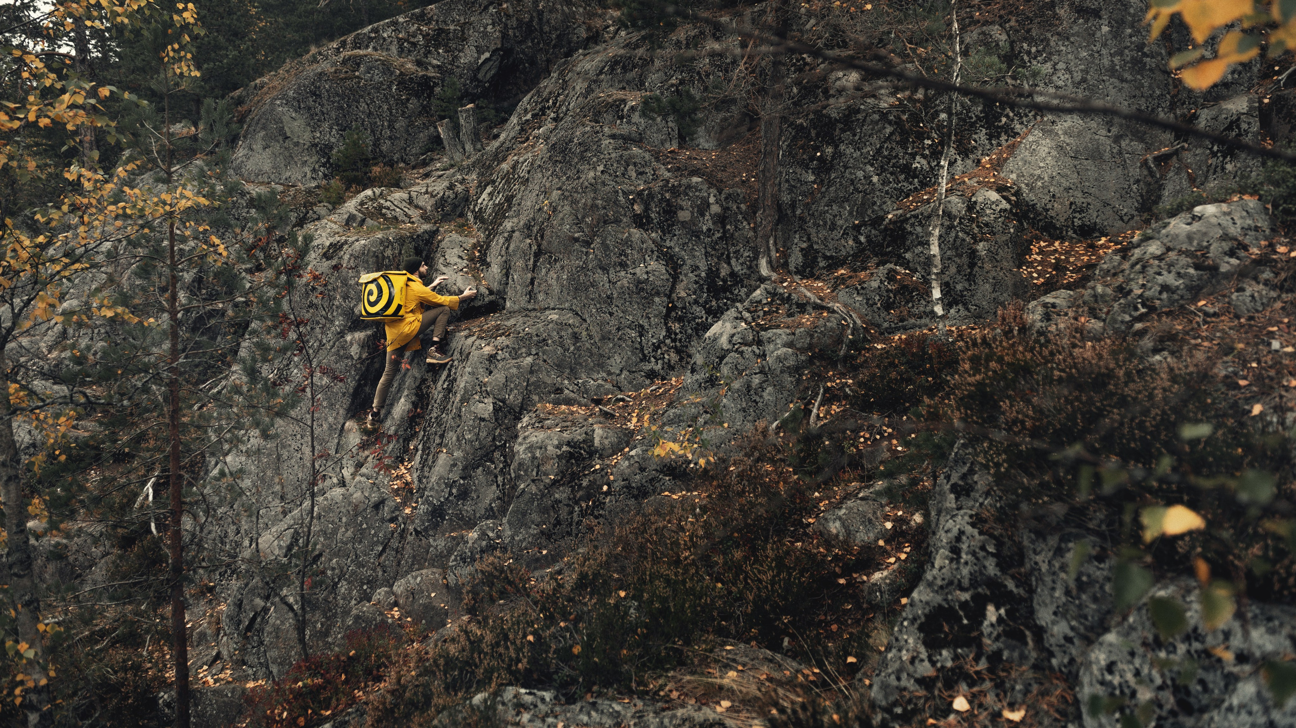 Проекты. Фотограф Кандеев Даниил