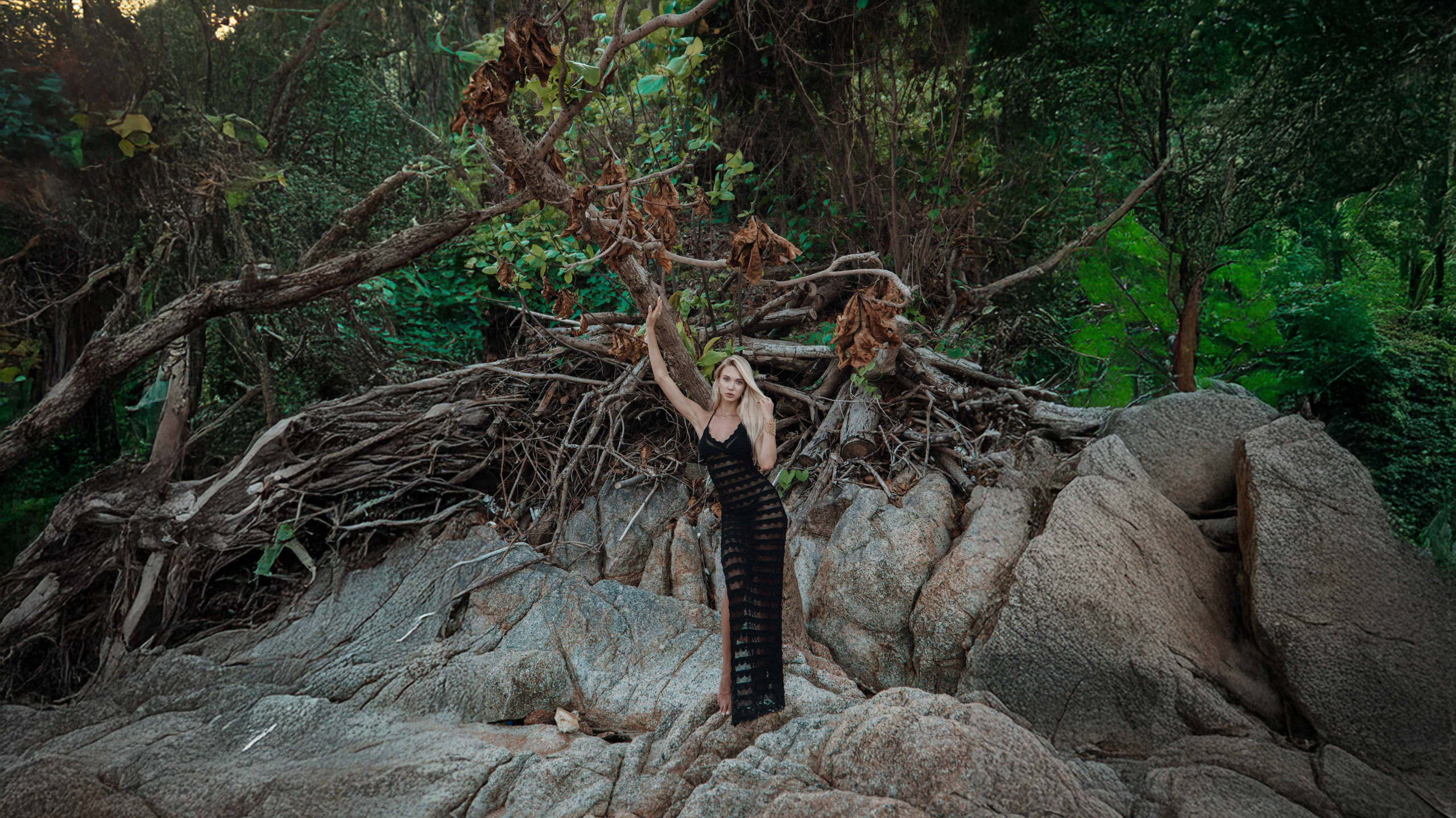 Фотограф Видеограф Самуи, Панган