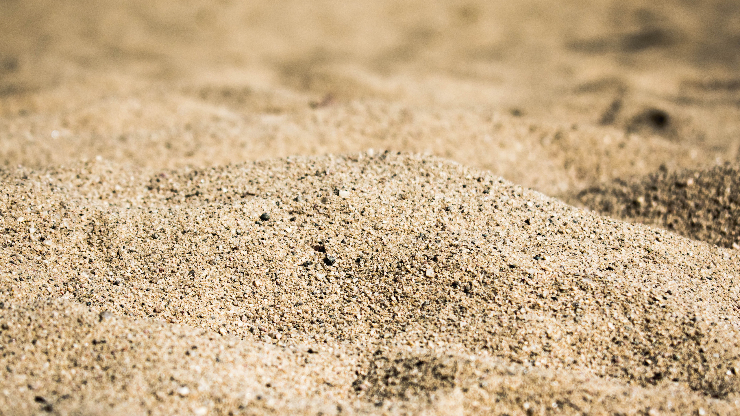 Возможности фотошопа. Фотограф людей и животных в Санкт-Петербурге Марина Бурмистрова