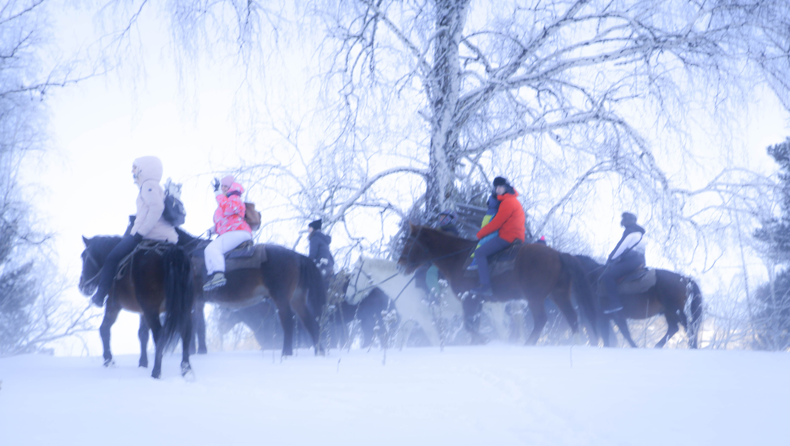 2020 — Горный Алтай. OneSnap