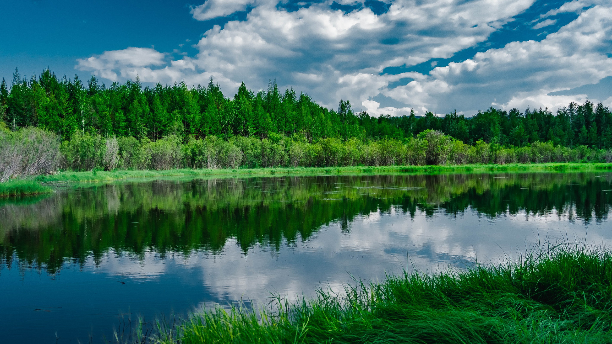 Travel | Wild. SHDEN — Photographer | Content Creator