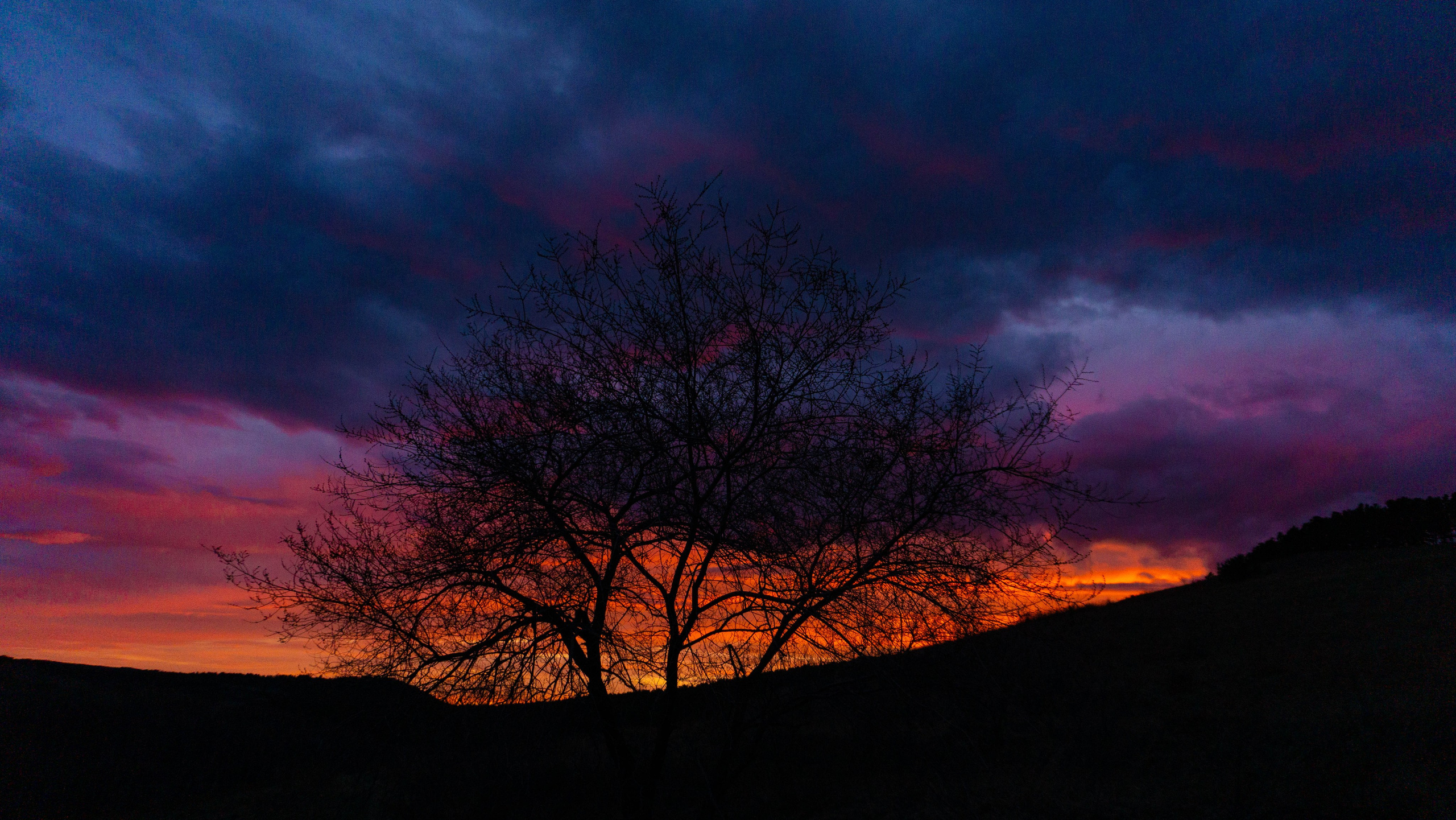 Travel | Wild. SHDEN — Photographer | Content Creator