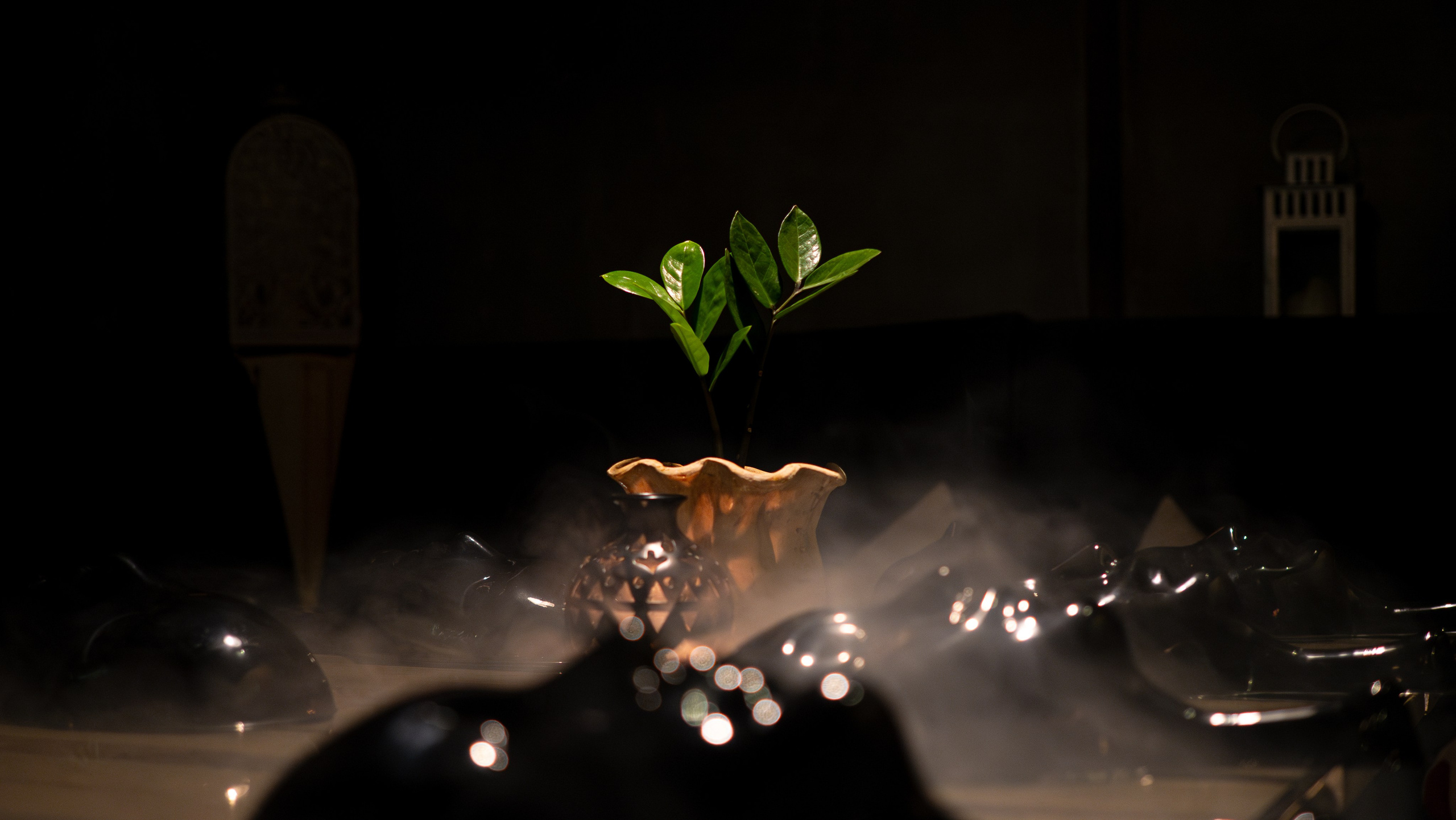 Услуги. Фотограф/видеограф Москва — Кирилл Капустин