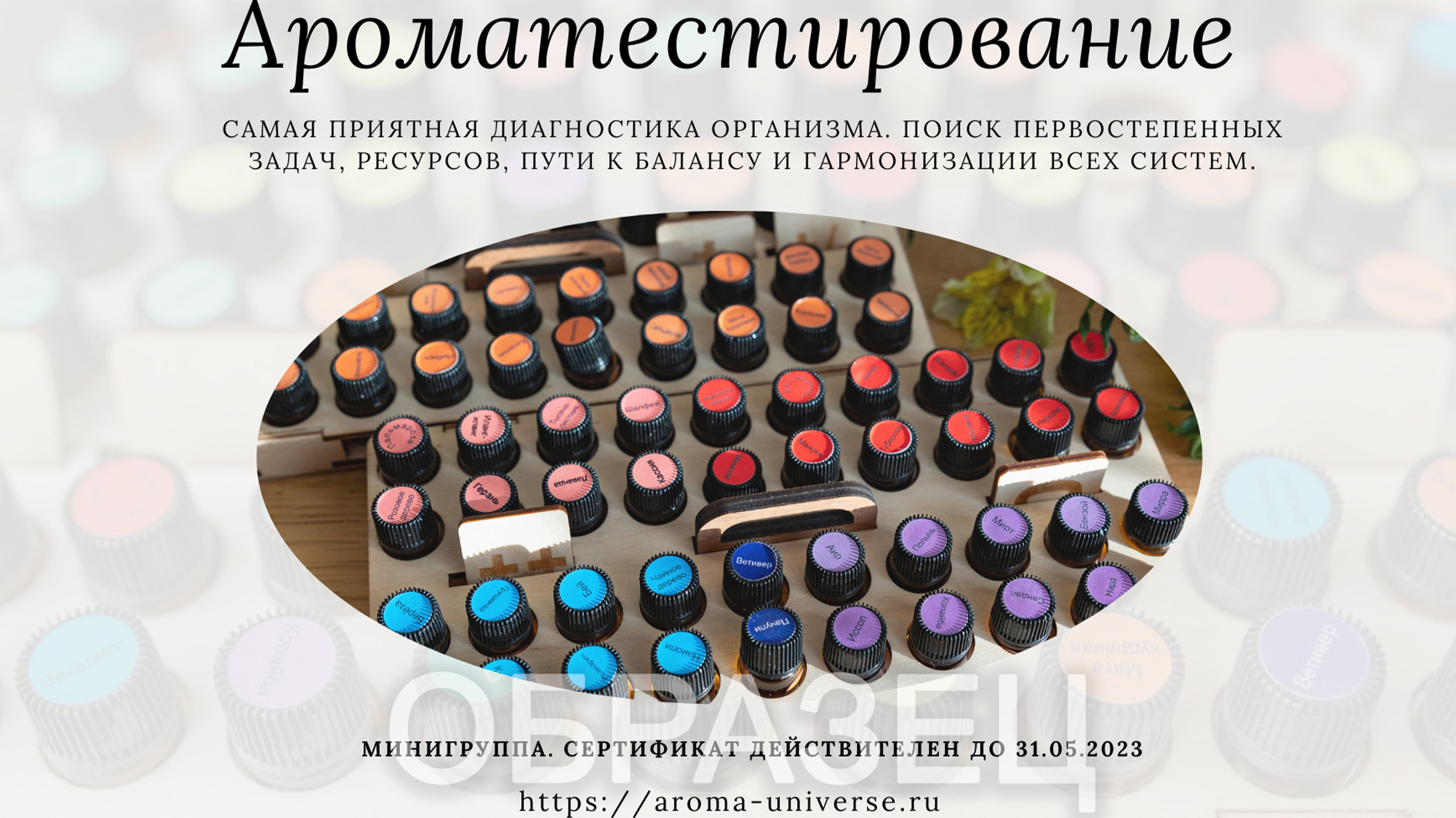 Подарочные сертификаты. Ароматестирование по методу Аромакод и Нейростатус в Санкт-Петербурге