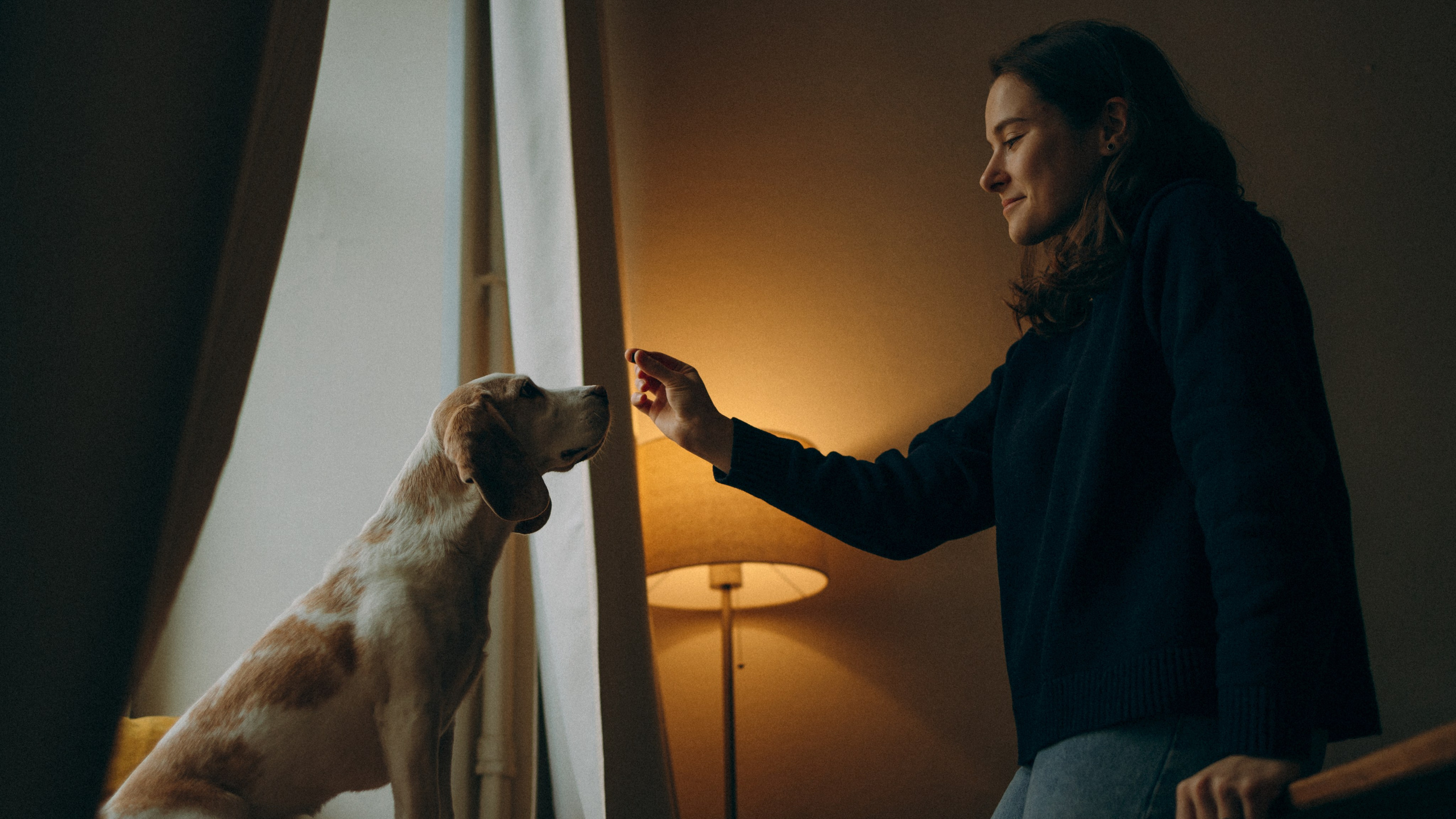 Стоимость. Семейный фотограф анималист Ананьева Мария — Москва