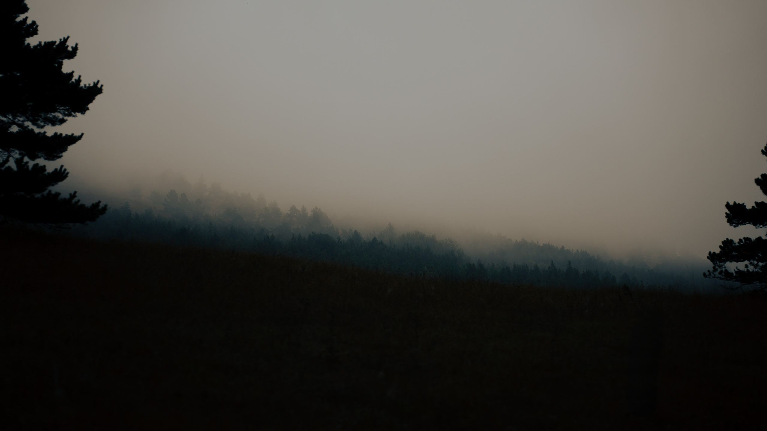 Рассвет на Ай-Петри. Фотограф из Москвы — DASHA NOVA | Авторская фотография в разных жанрах