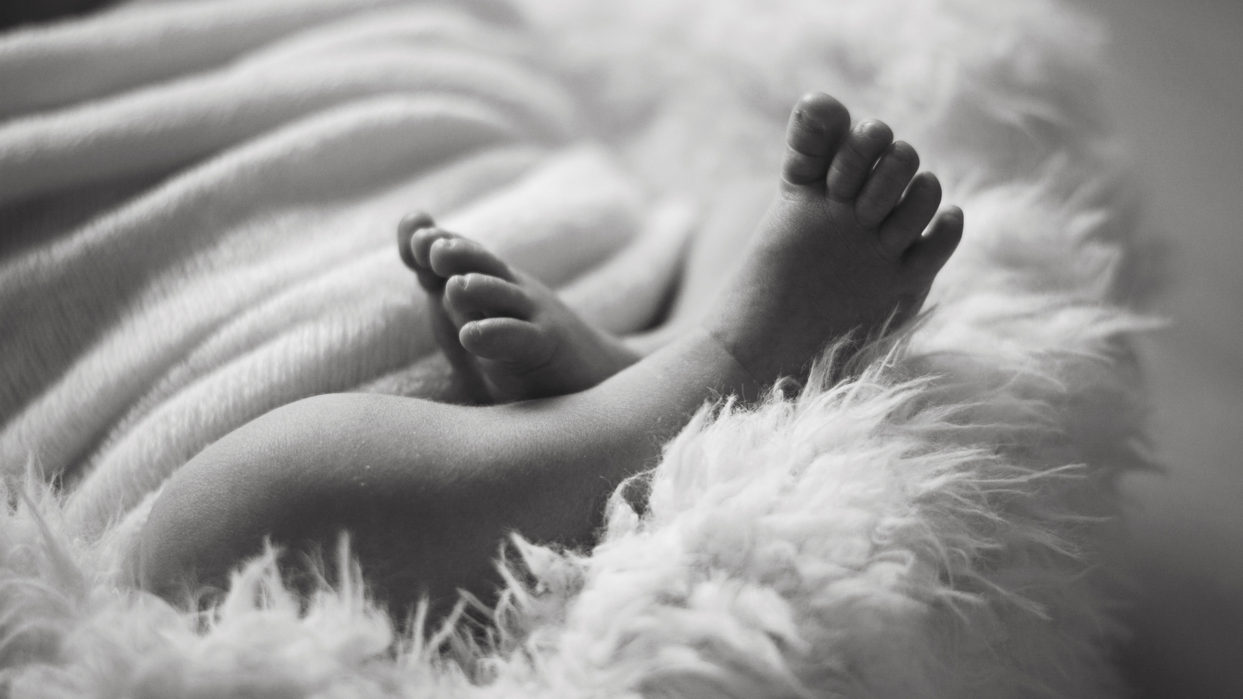 Фотосессия новорожденных сыктывкар конфиденциальность. Фотограф новорождённых детский фотограф Сыктывкар Наталья Линдт