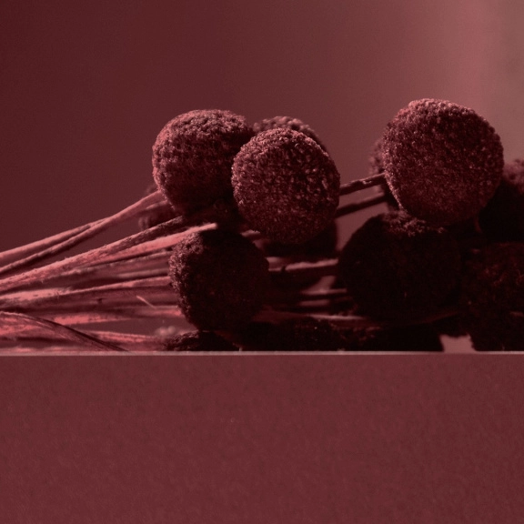 Цвета стен 2026