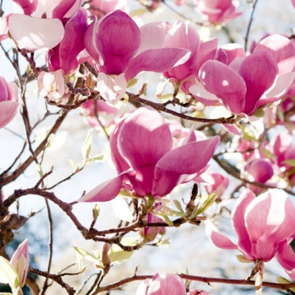 «Парящий остров» смотровая площадка парка 80-летия Краснодарского края. Интерьерный дизайнер в Сочи Поплавская Татьяна. Проектирование интерьеров и организация процесса ремонта