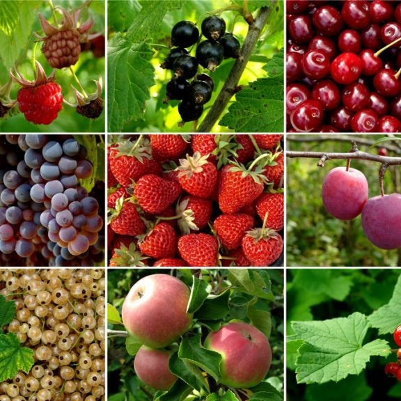 Агро Земельный массив Неберджаевская. Инвестиционный консалтинг Недвижимость