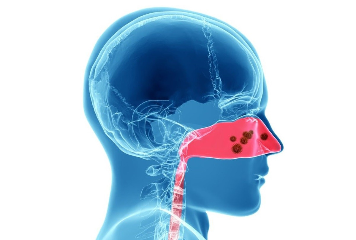 Восстановление и&nbsp;профилактика для лор-органов продукция сово-сова какие продукты помогают восстанавливать лор органы