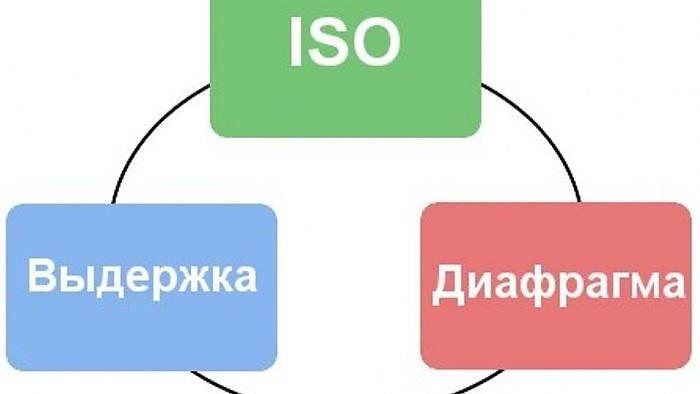 Обучение фотографии. Фотограф в Анапе Елена Нор