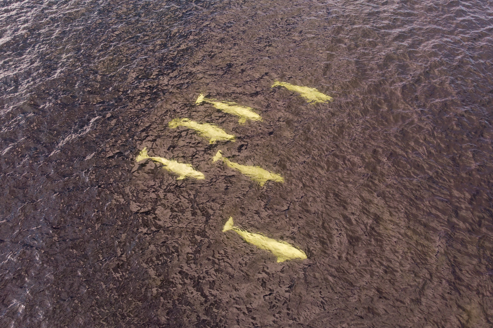 Фотопутешествие на Соловки. Фотограф Александр Головин