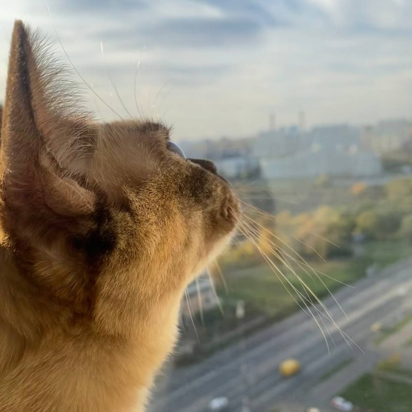 Отзывы о курсе «Мобильная фотография». Фотограф Саша Скетчер